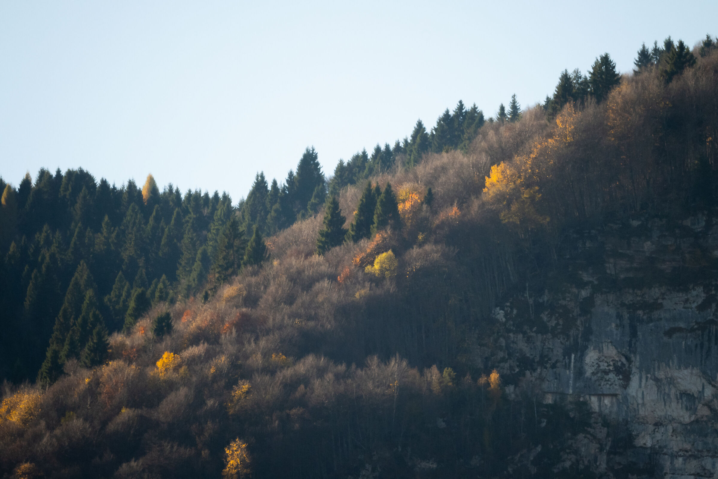 Autumn landscape