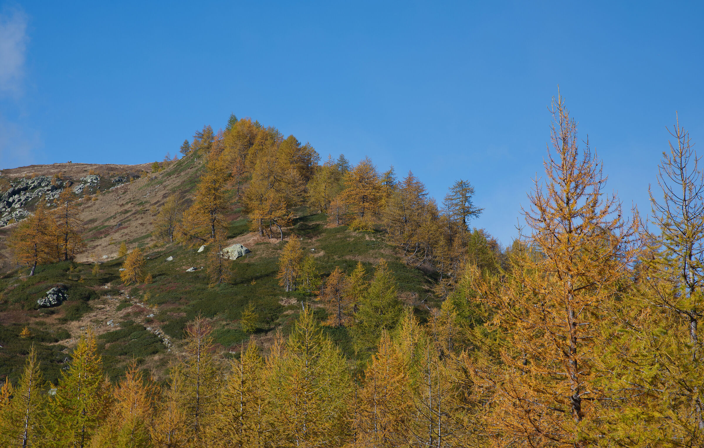 Alta Val Bognanco - the colours of autumn