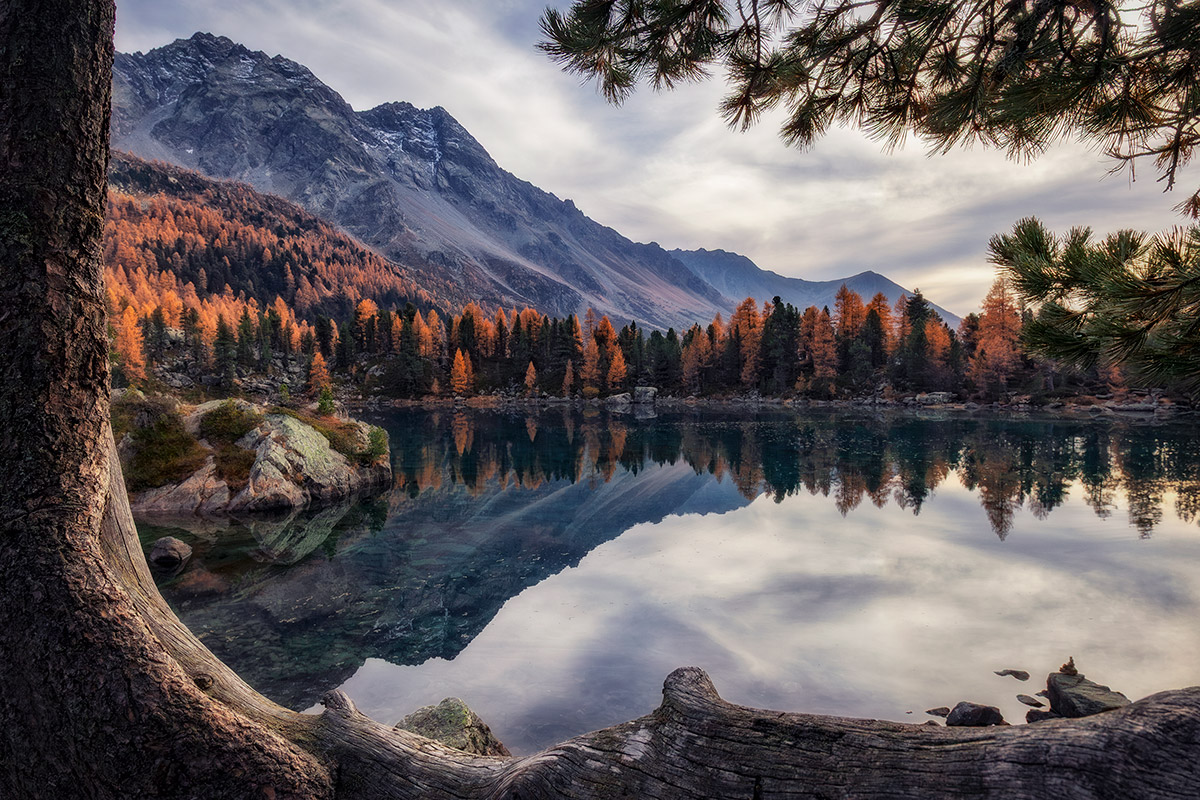 La finestra sul Lago
