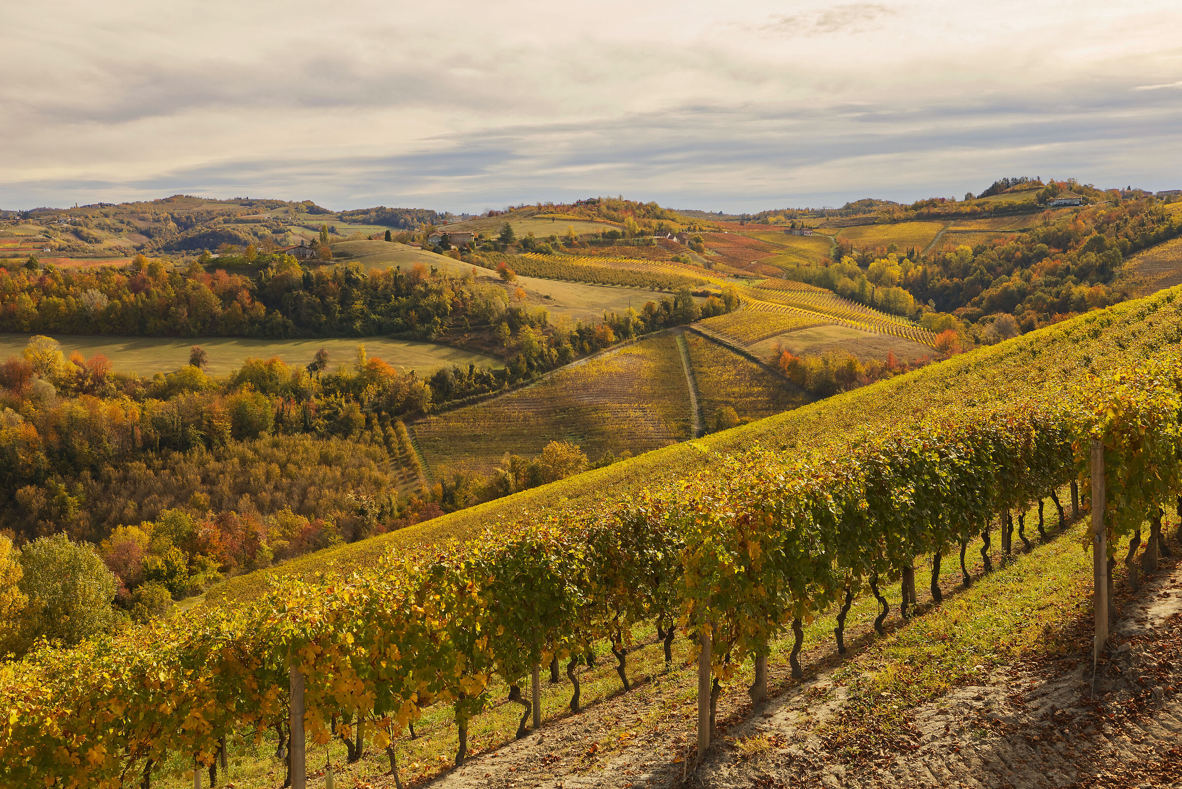 Langhe d'autunno