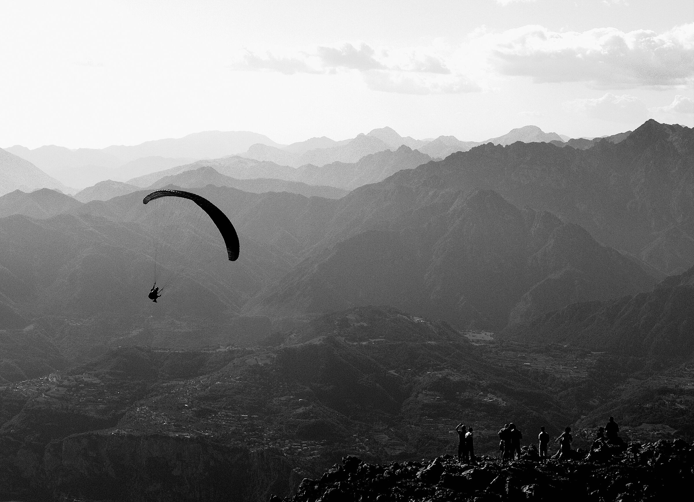 Evolutions in black and white