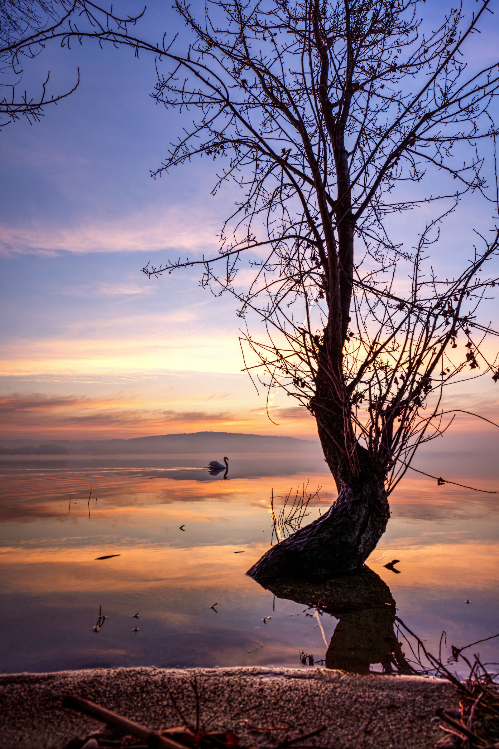 Alba sul Lago Maggiore