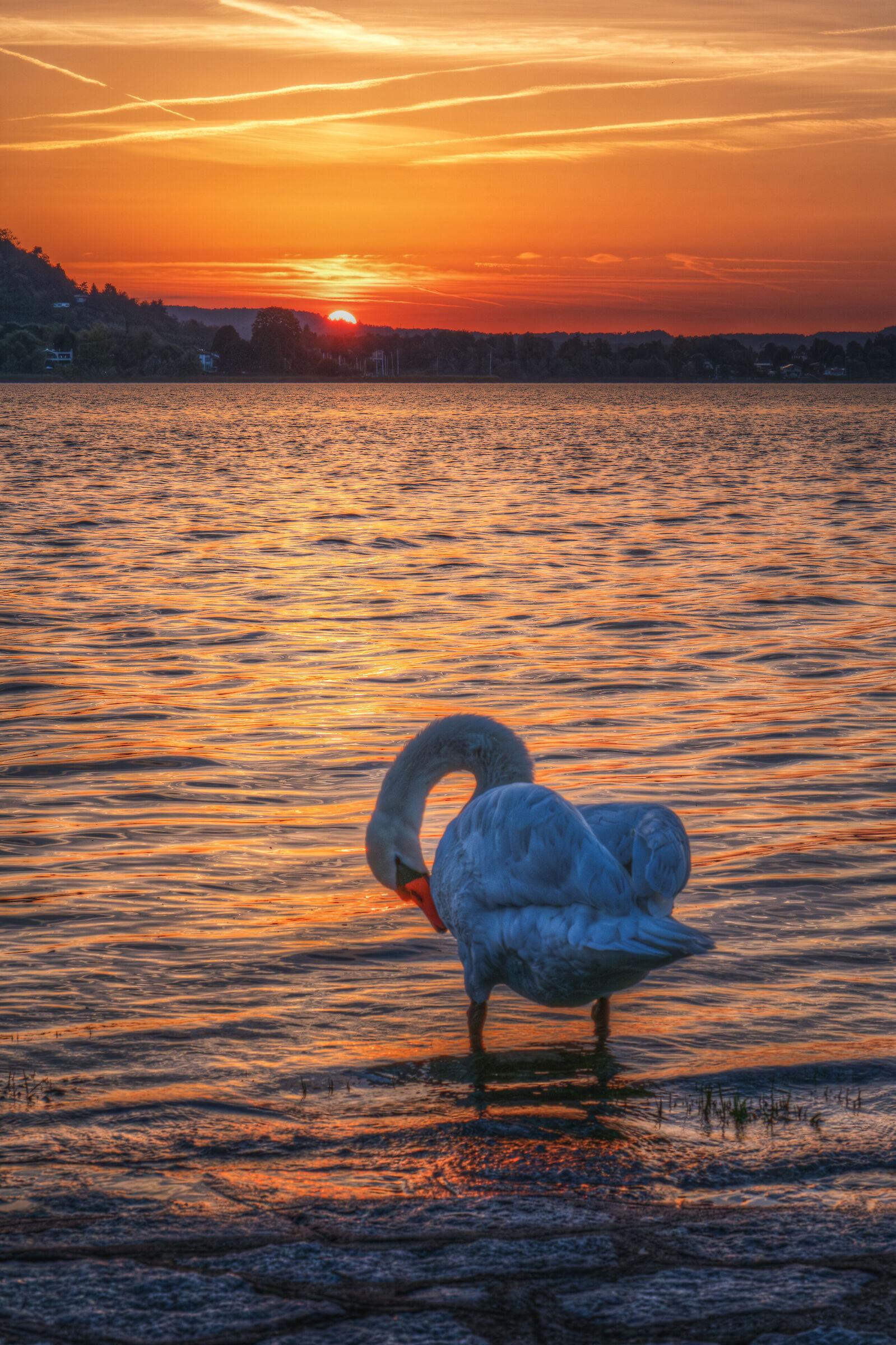 Alba sul Lago Maggiore