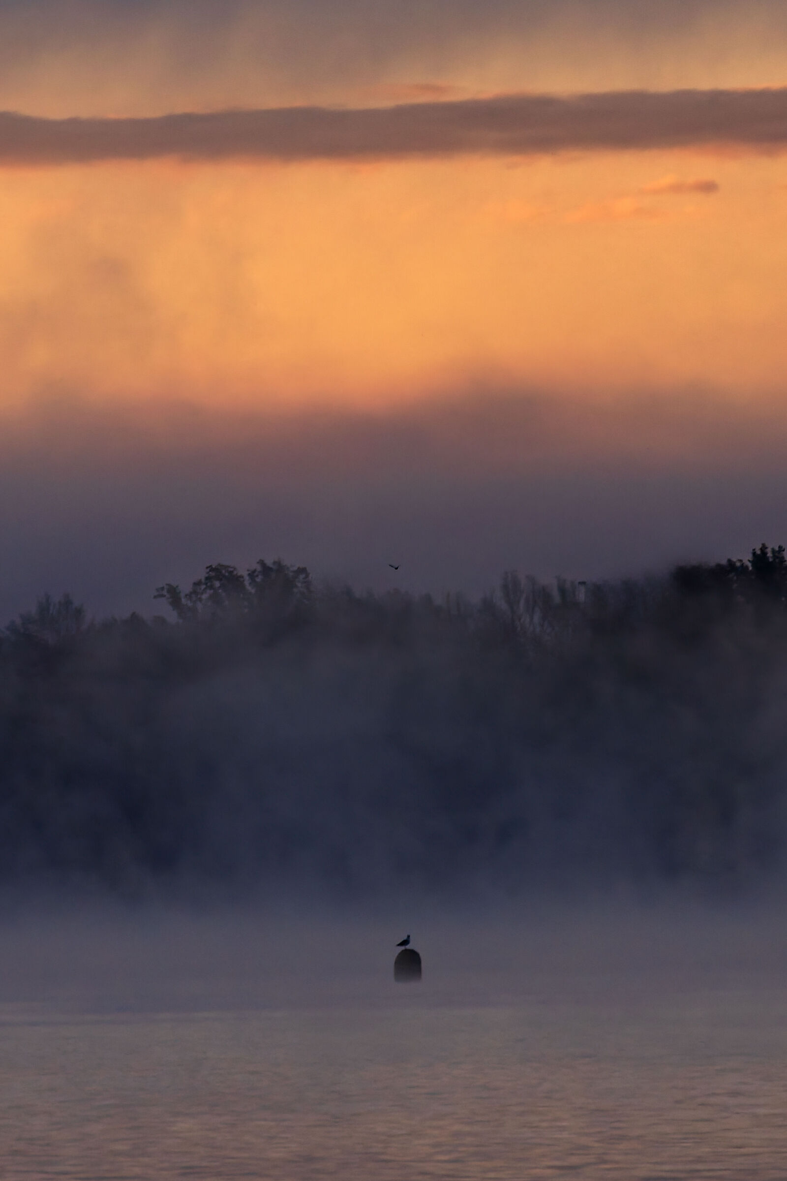 Alba sul Lago Maggiore