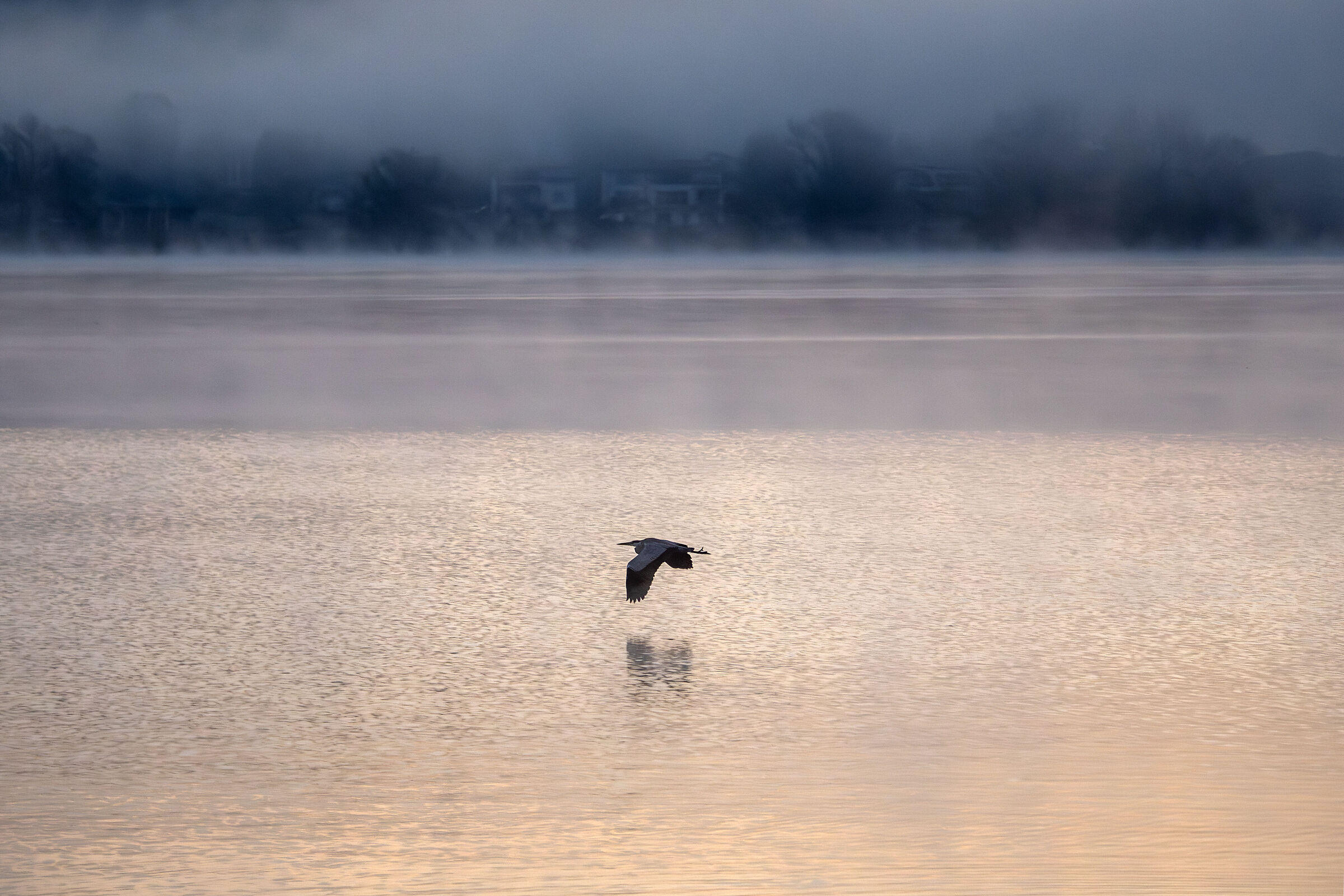 Alba nebbiosa sul Lago Maggiore