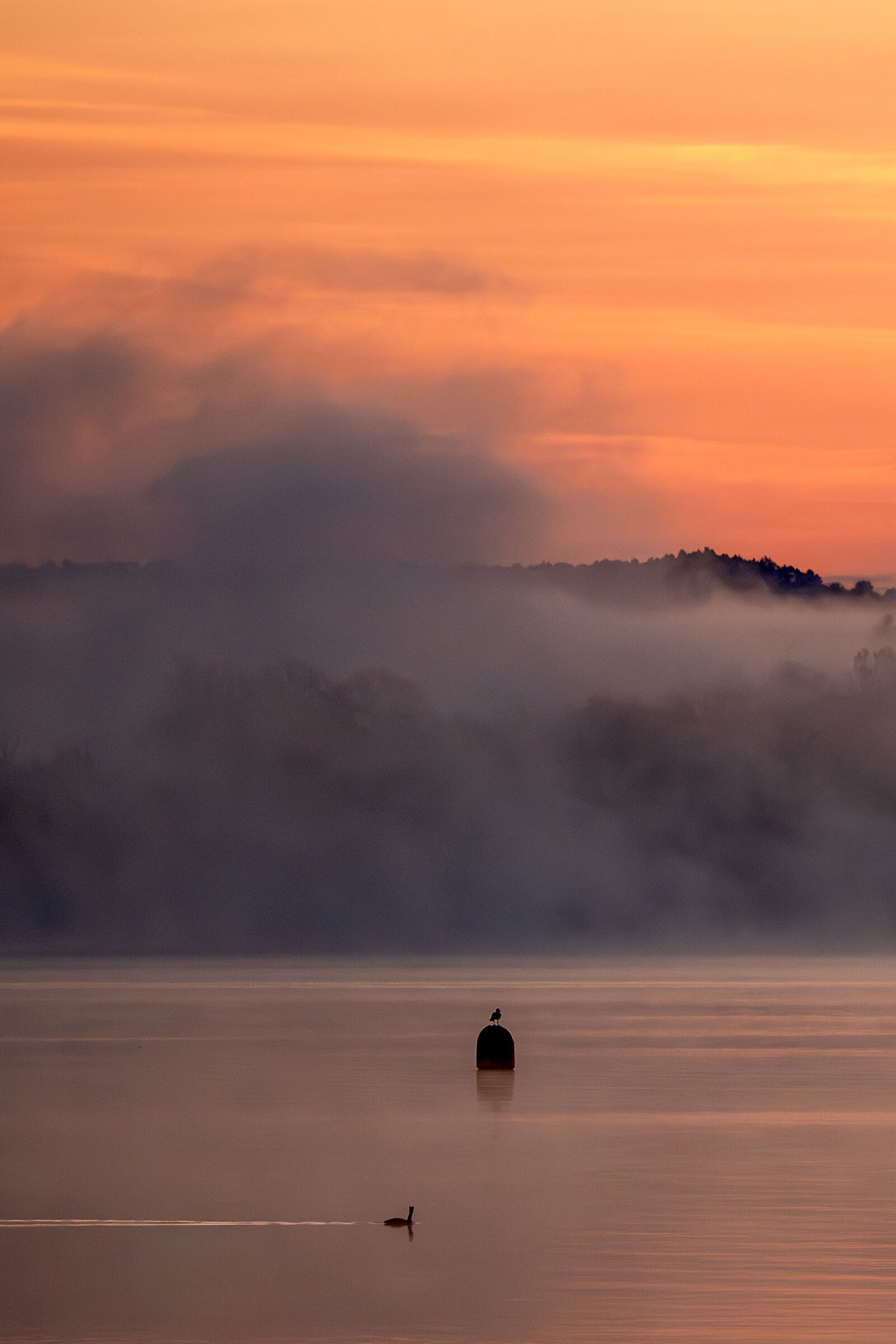 Alba nebbiosa sul Lago Maggiore
