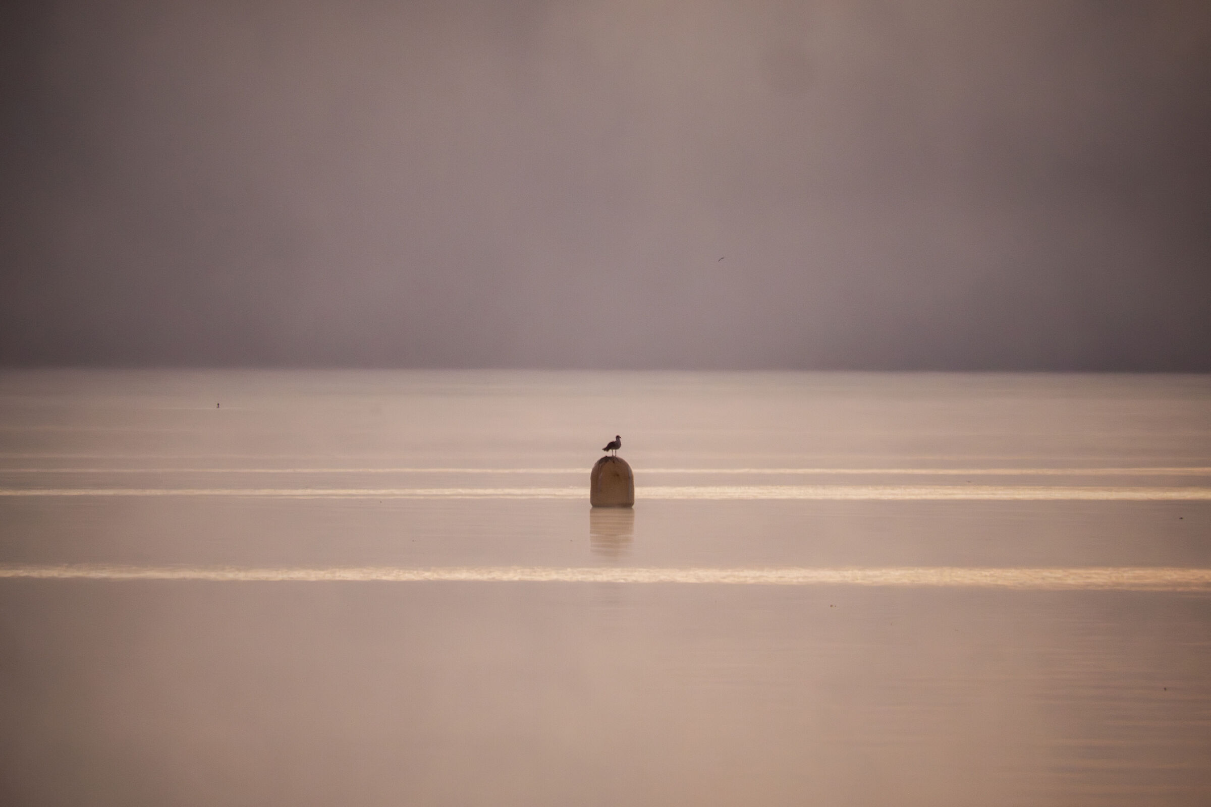 Alba nebbiosa sul Lago Maggiore