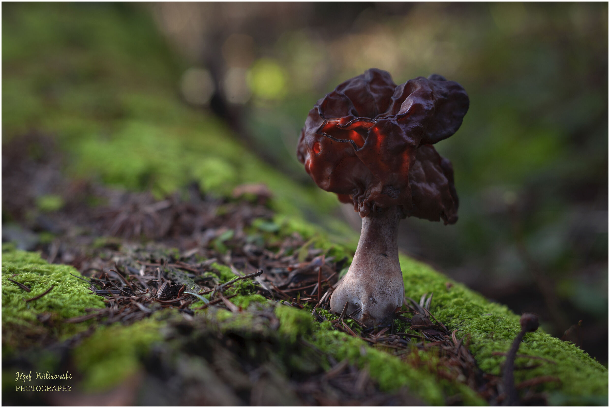 Industar 50/2,8 61 L/Z