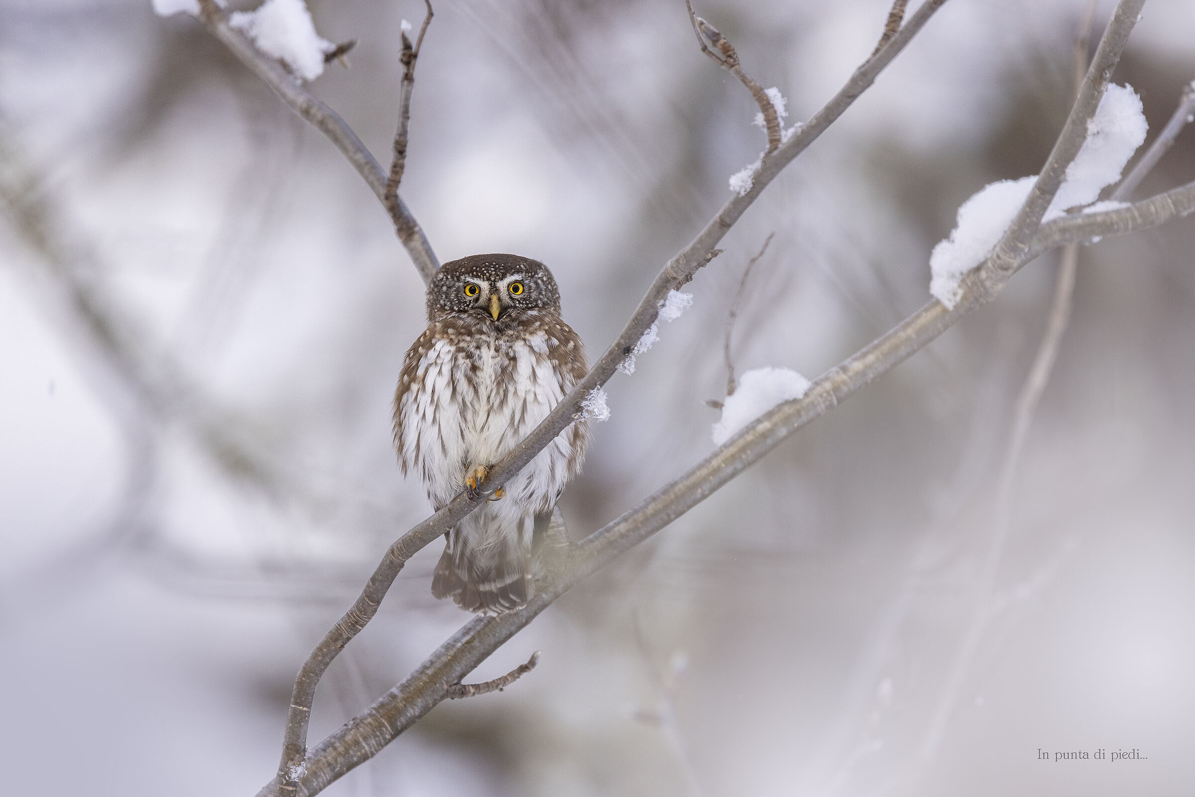 the eternal wonder of the cycle of nature...