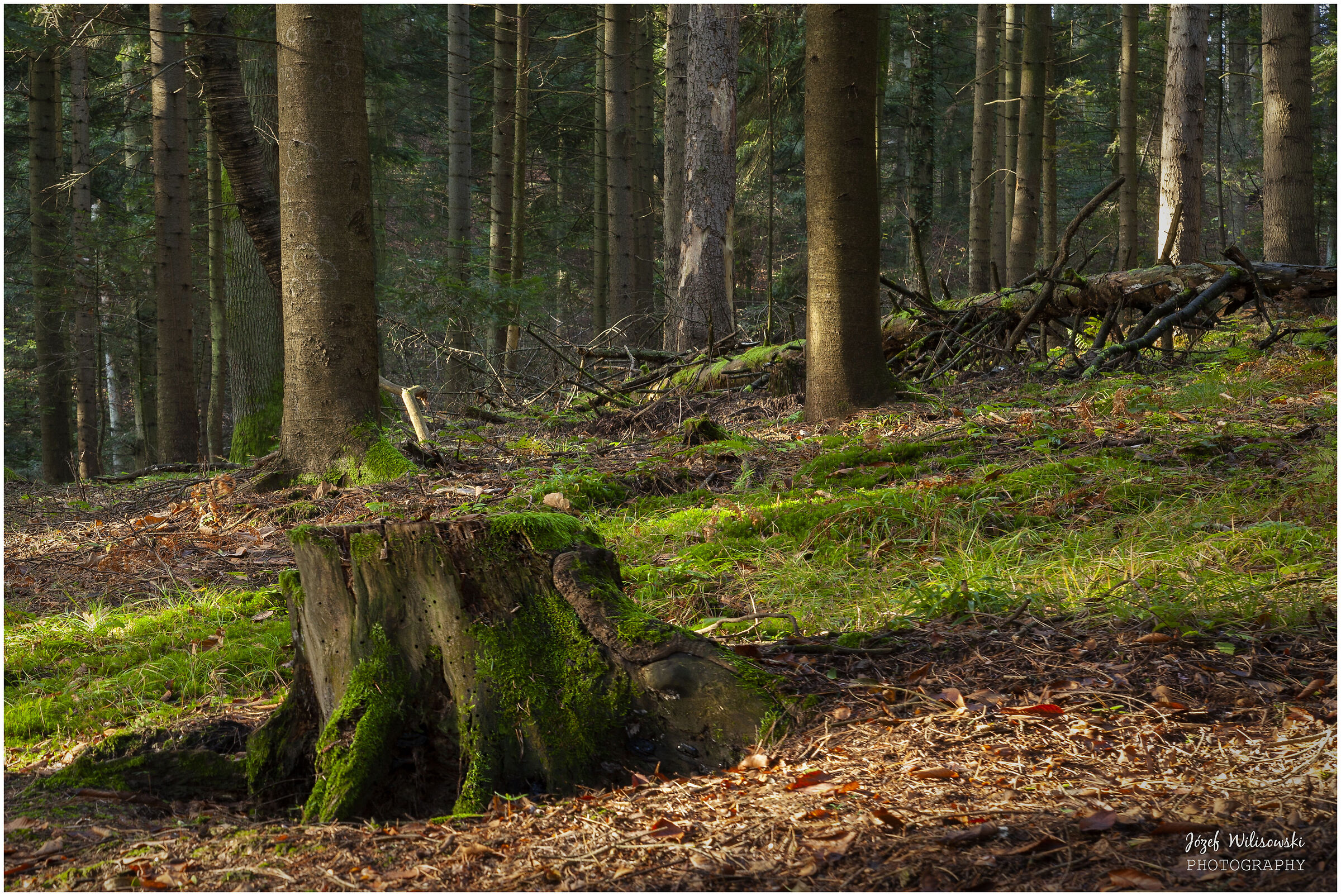 Industar 50/2,8 61 L/Z