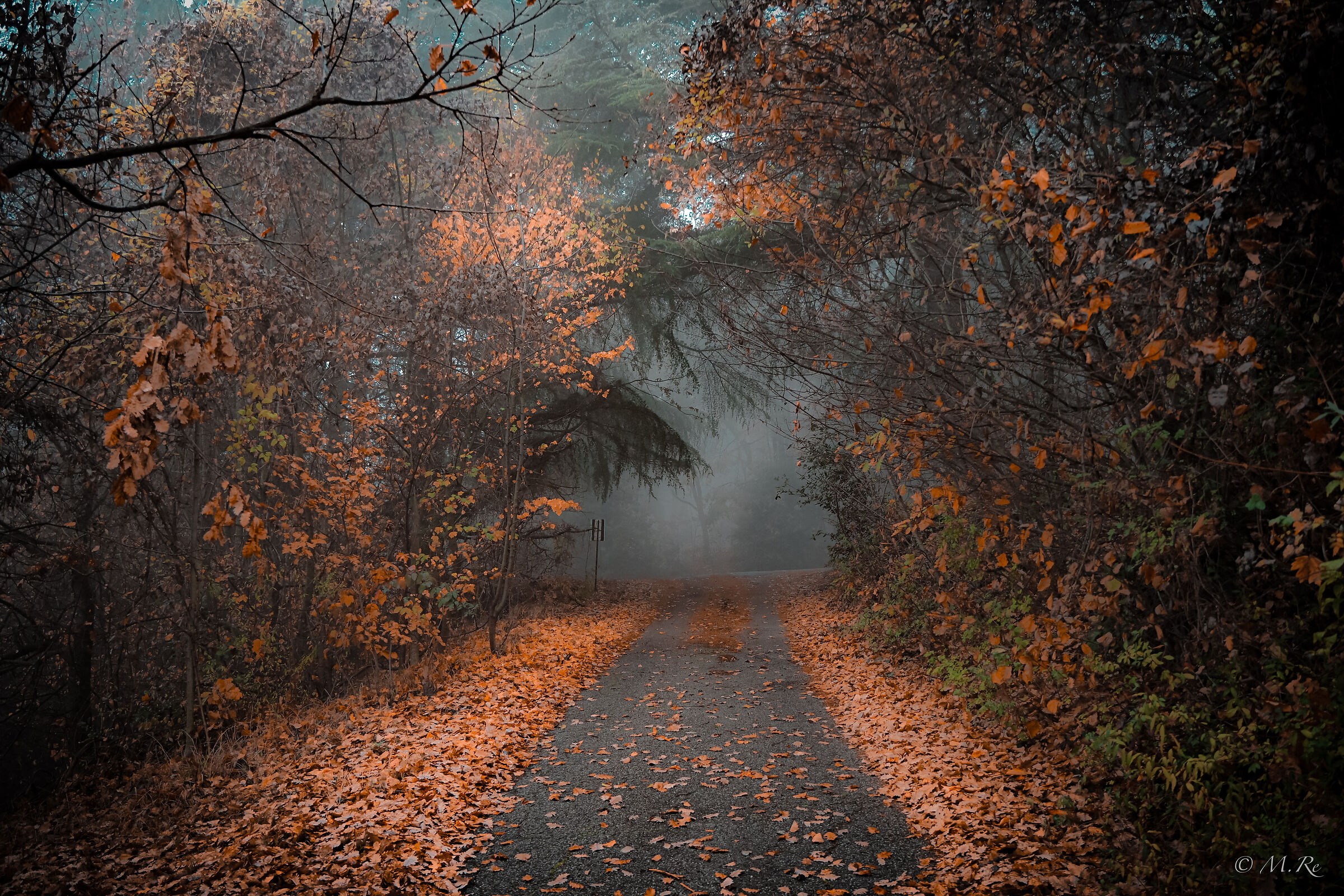 Untitled Photo