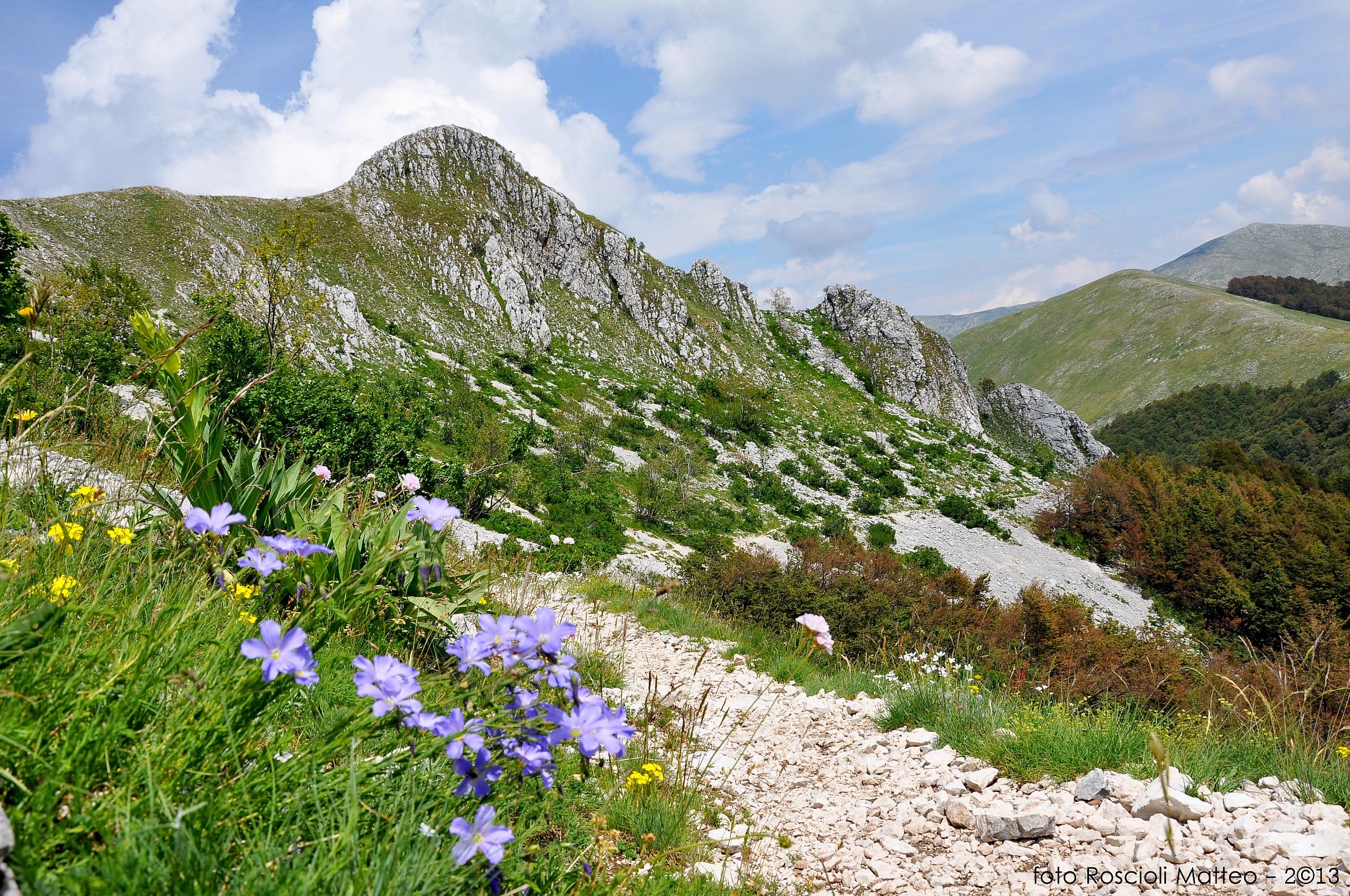 Sentiero per il rifugio Pesco di Iorio