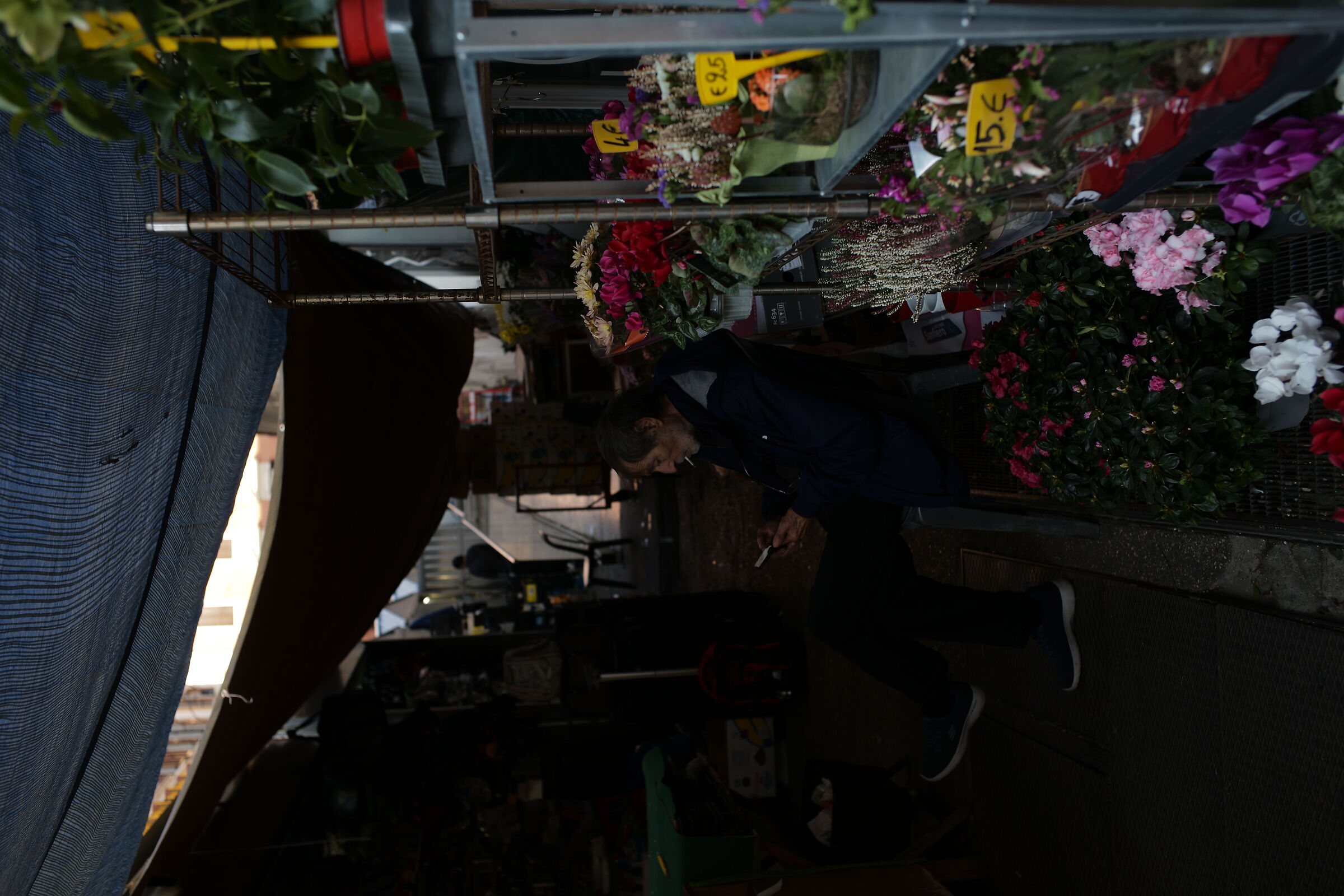 The tranquility of colors