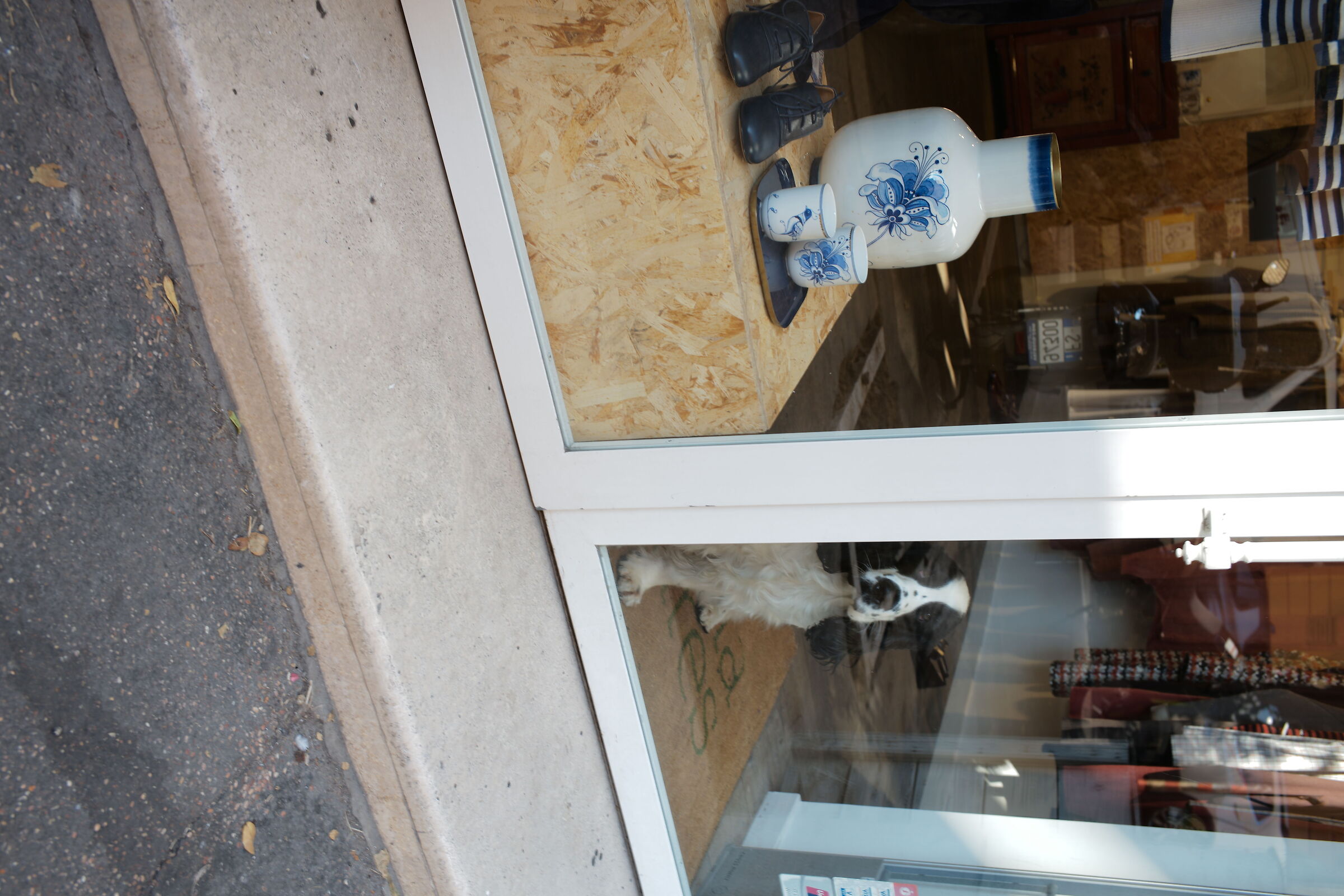 Loi faithful to his mistress and waits for her confidently