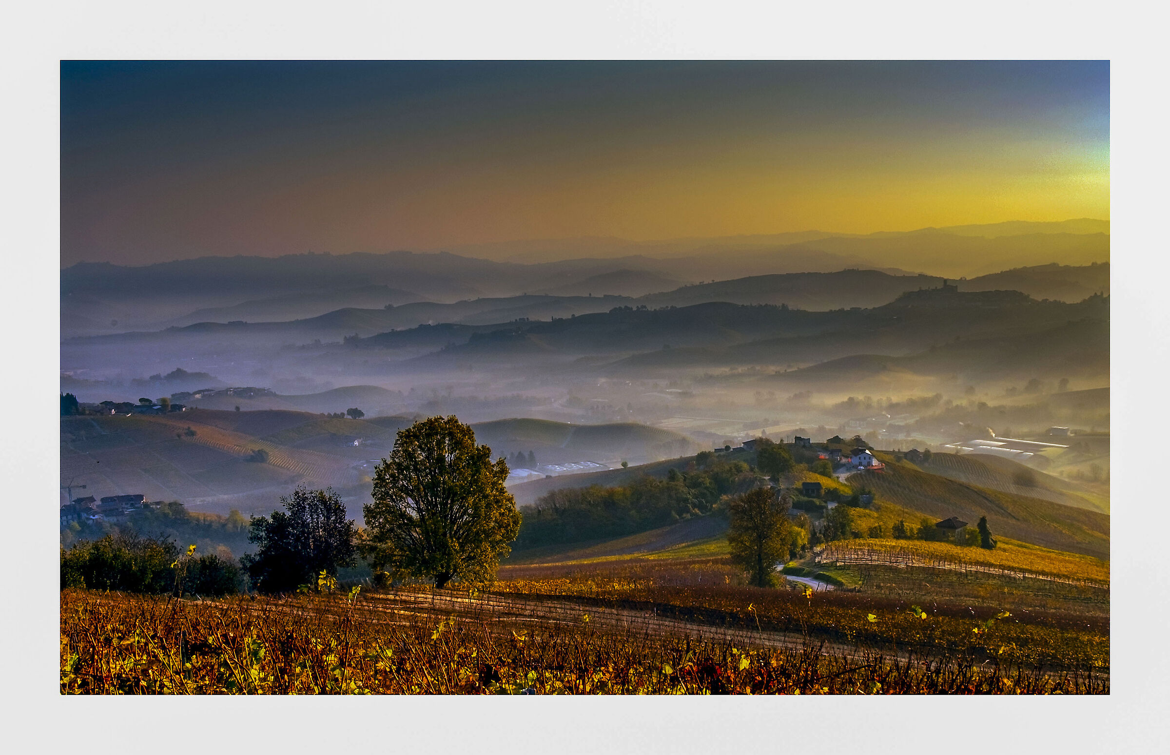 Uno sguardo sulle colline delle langhe