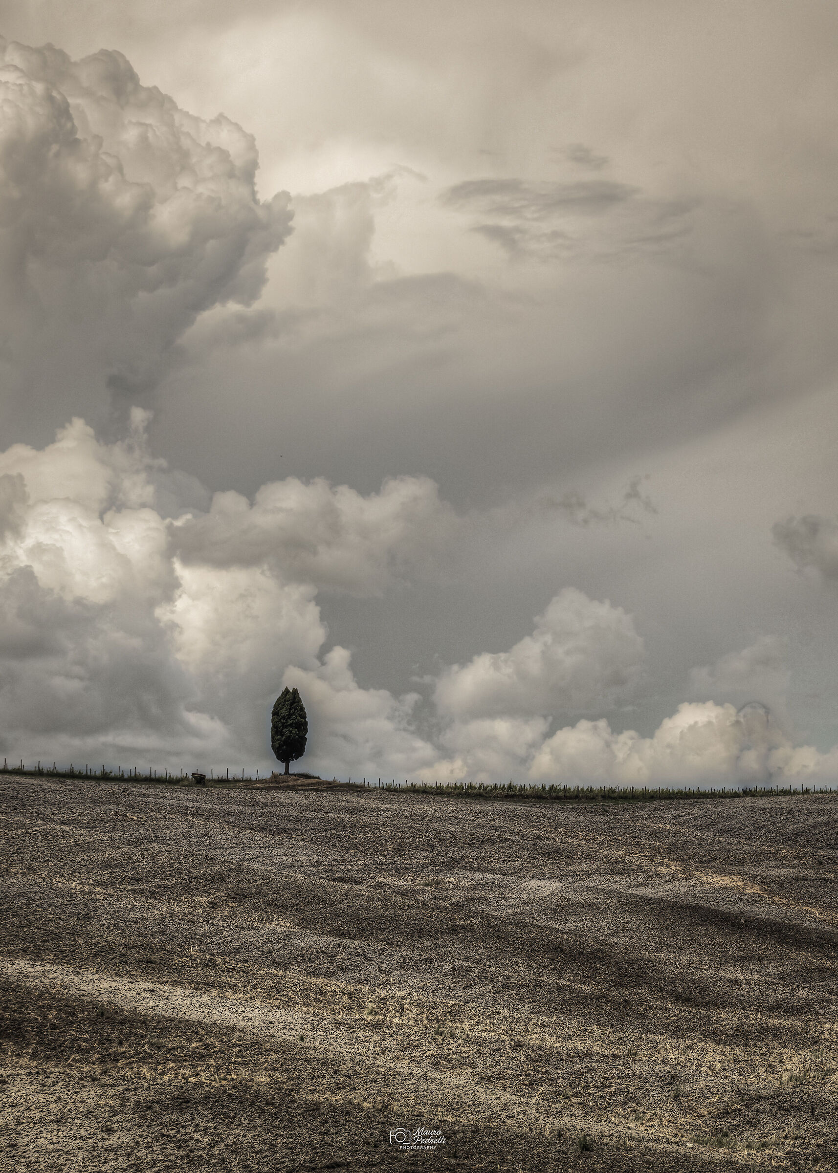 Terra di Toscana, San Quirico d'Orcia