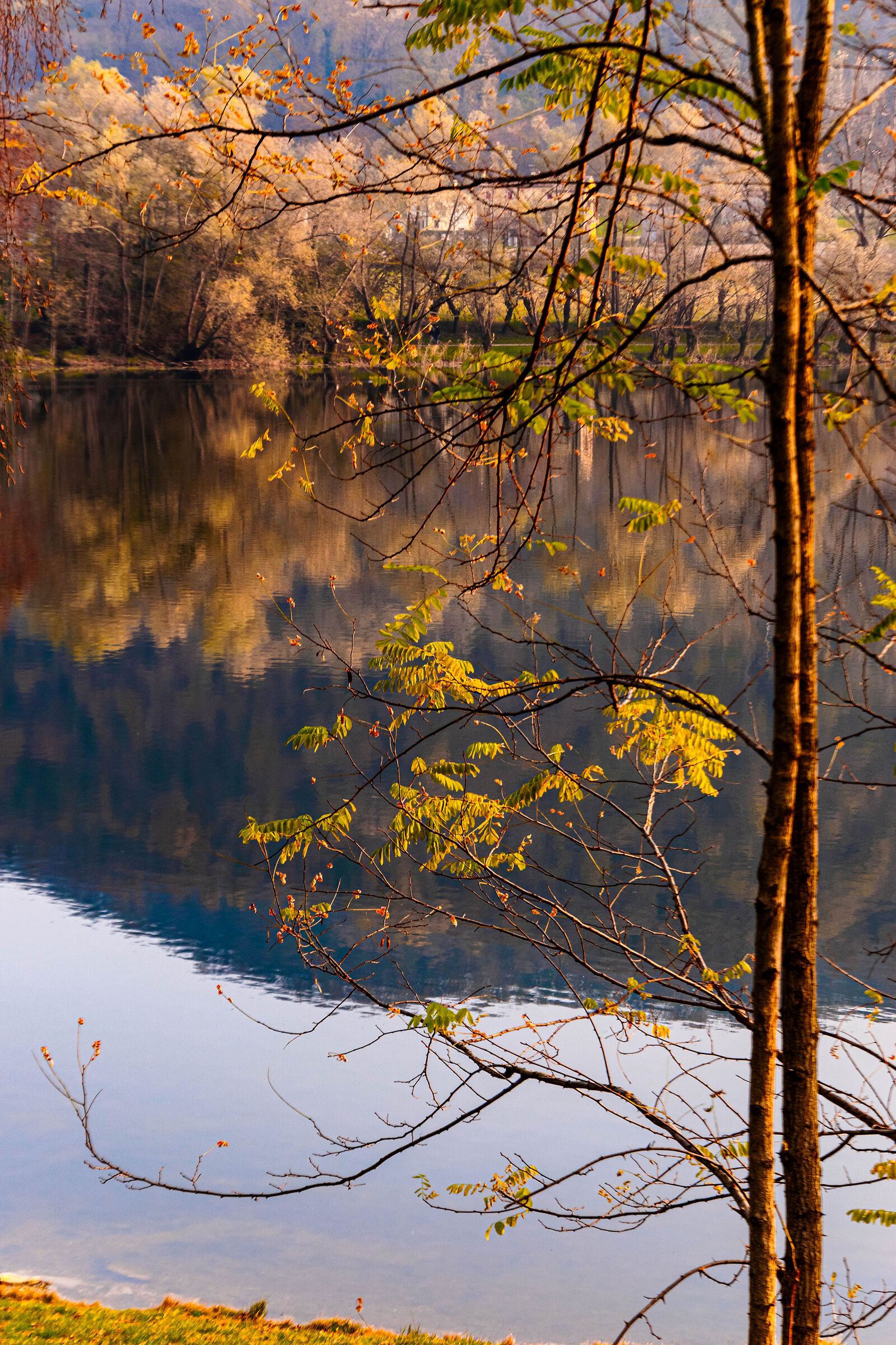 Reflections at the lake. Revine