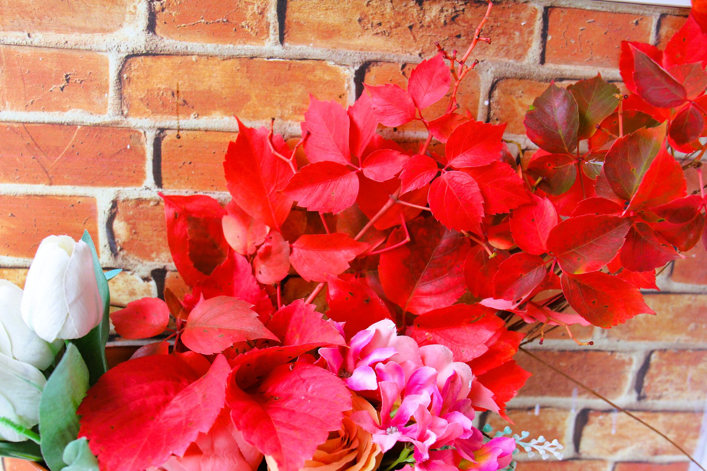 Autumn2