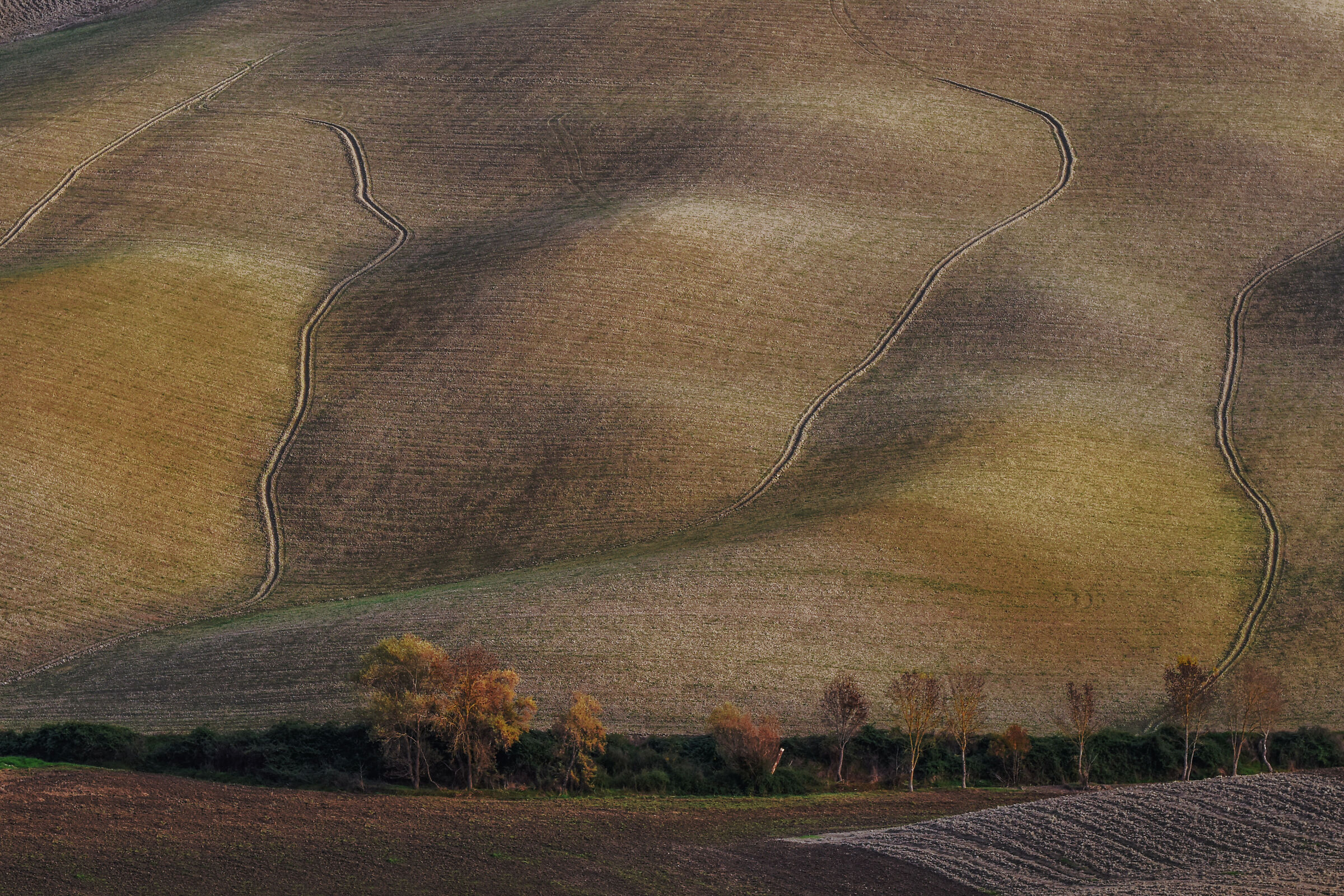 soft hills...