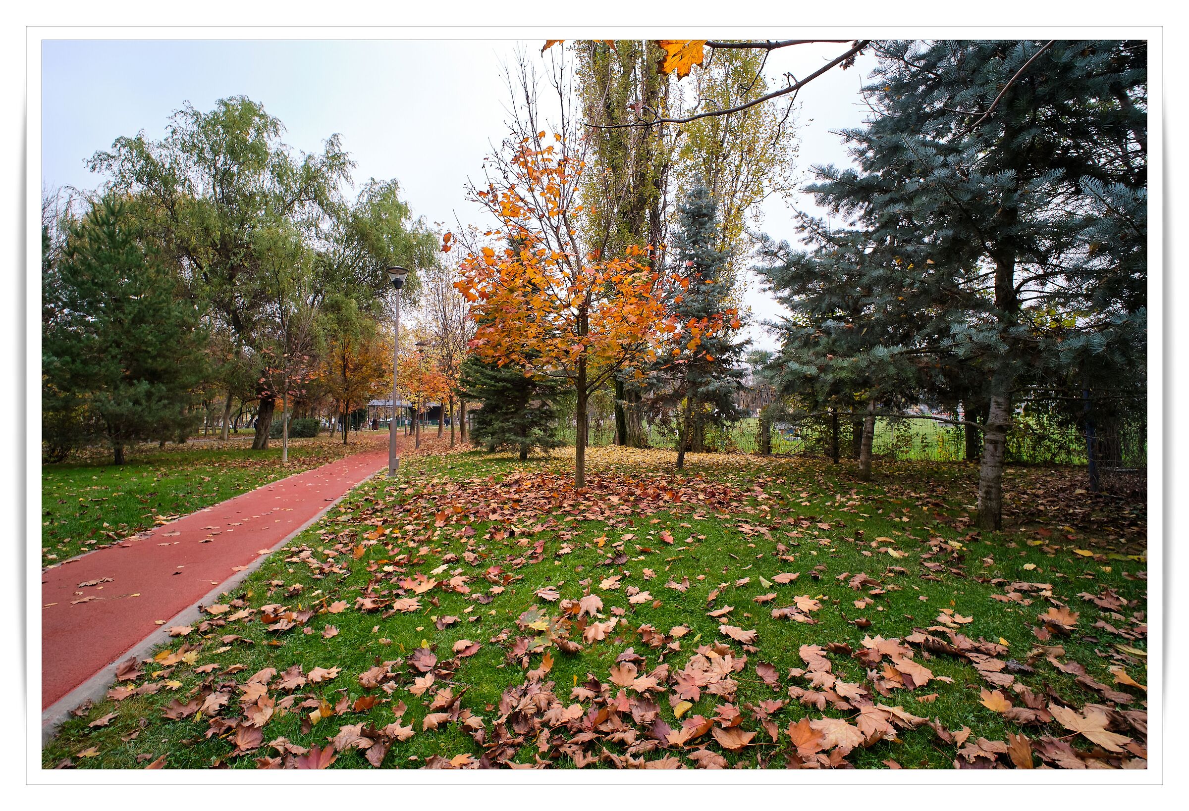 La caduta vista attraverso 10mm f2
