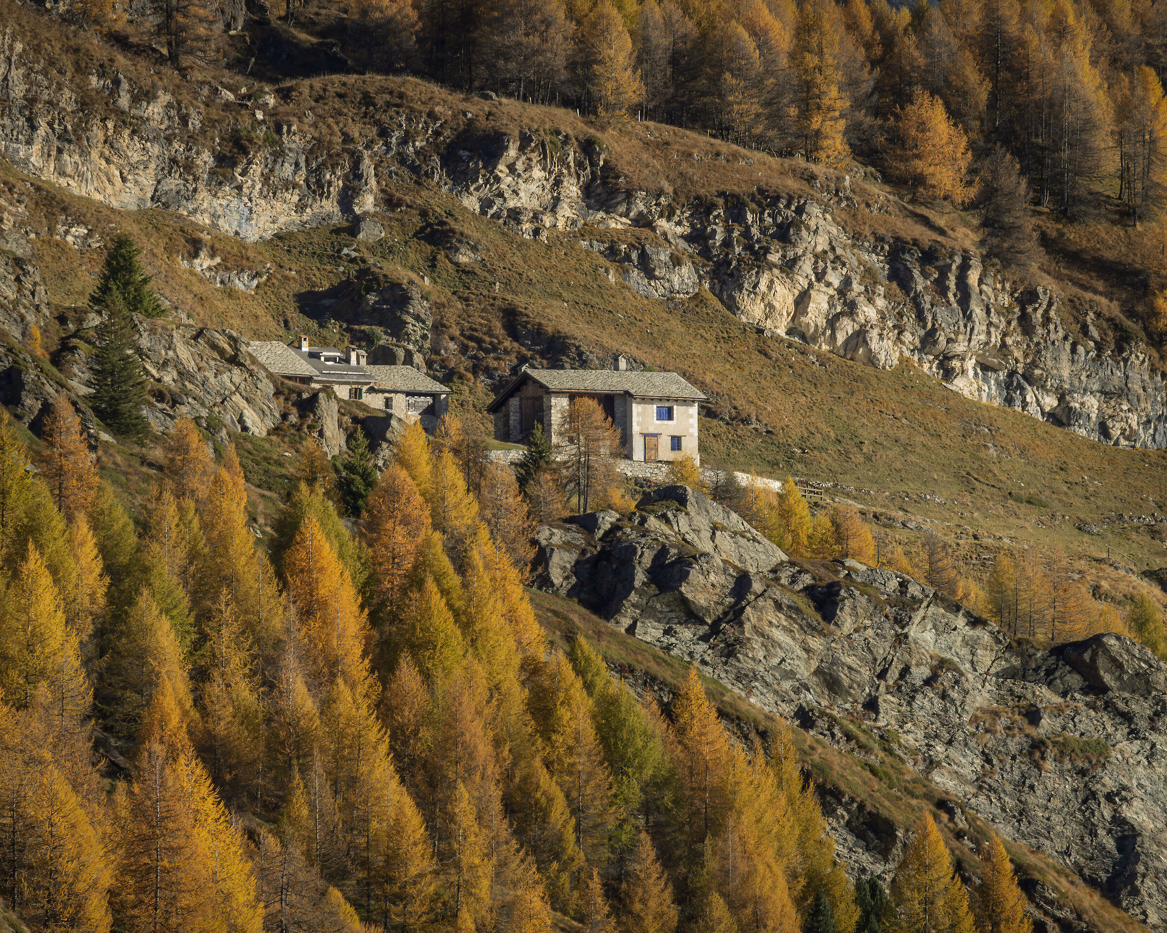 Shore of Lake Sils, CH