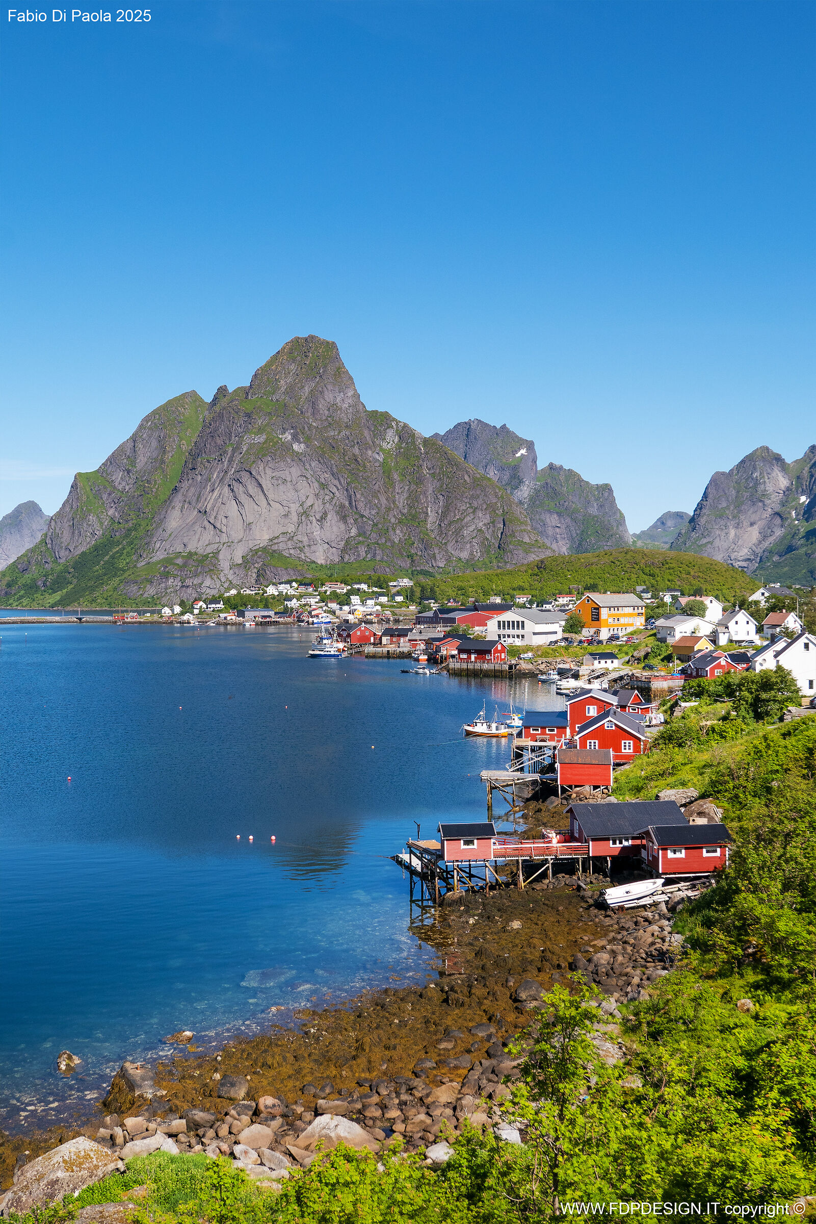 Reine