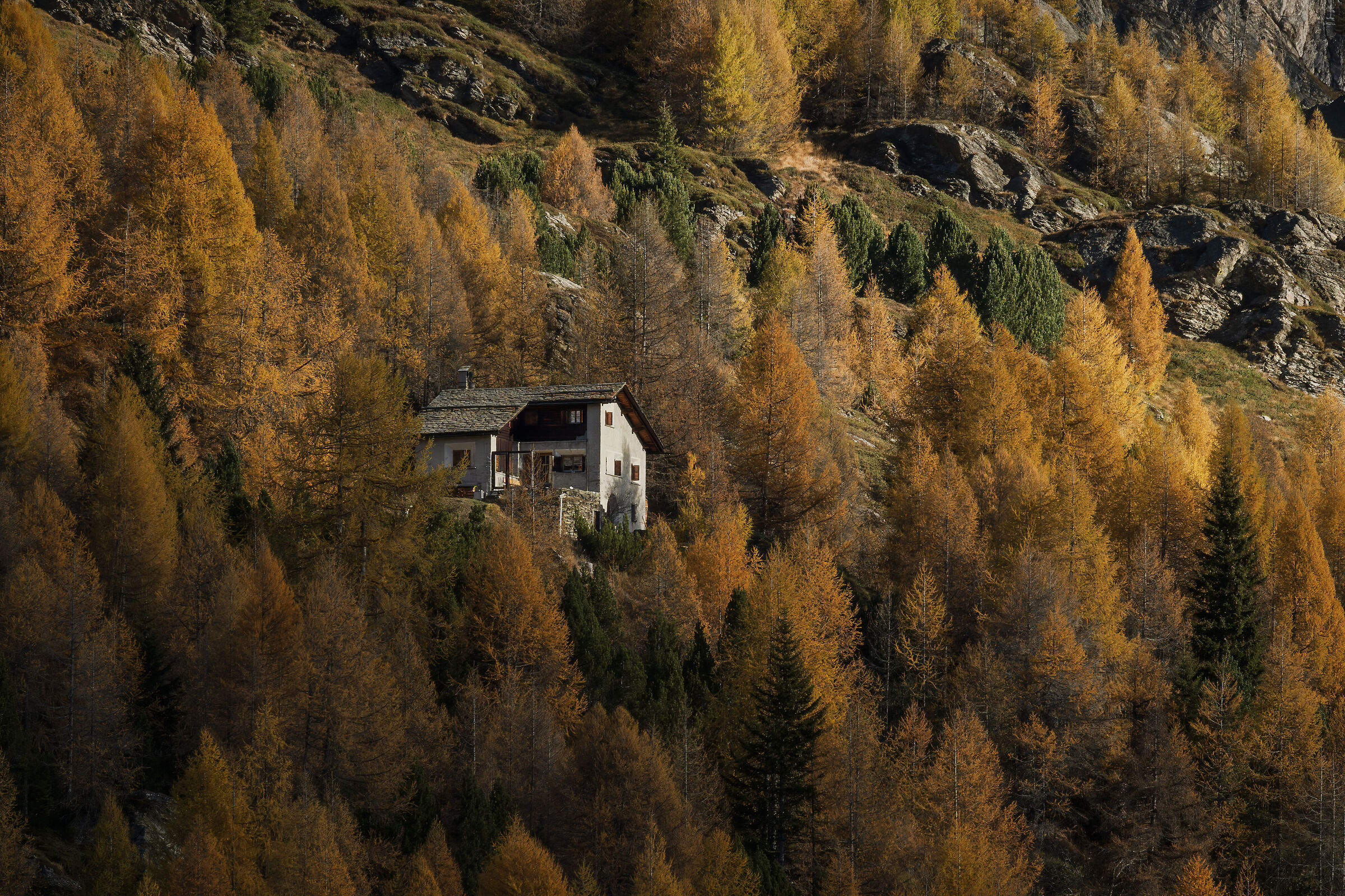 To the Boschett, Lake Sils CH