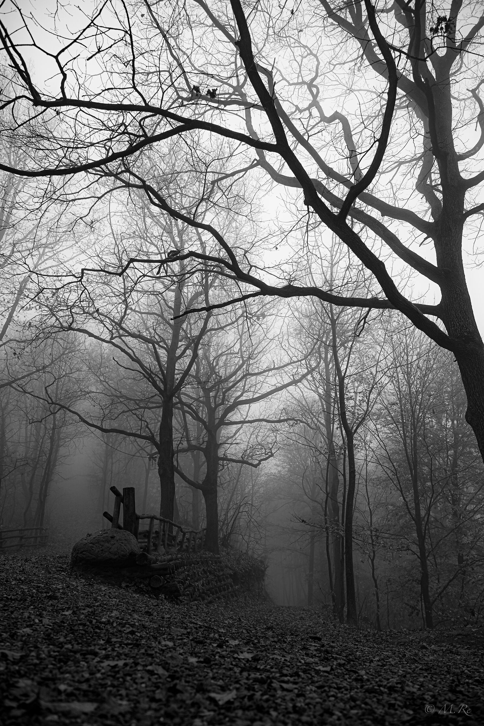Vaj Forest