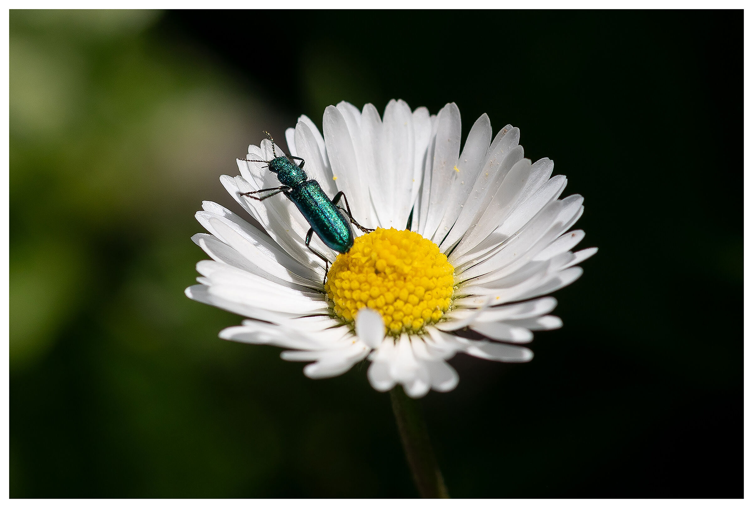 The world of children...