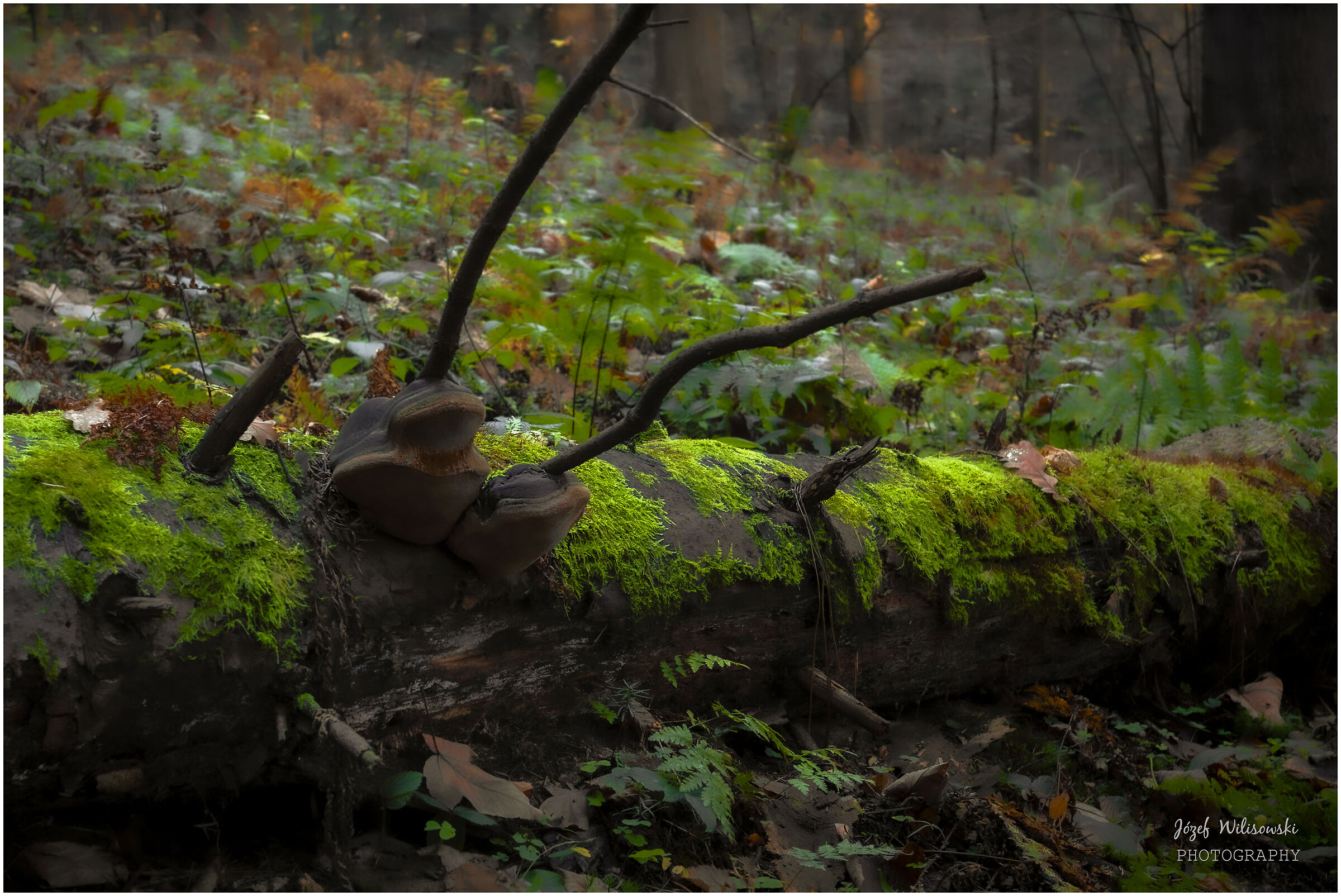 Industar  50/2,8  61 L/Z