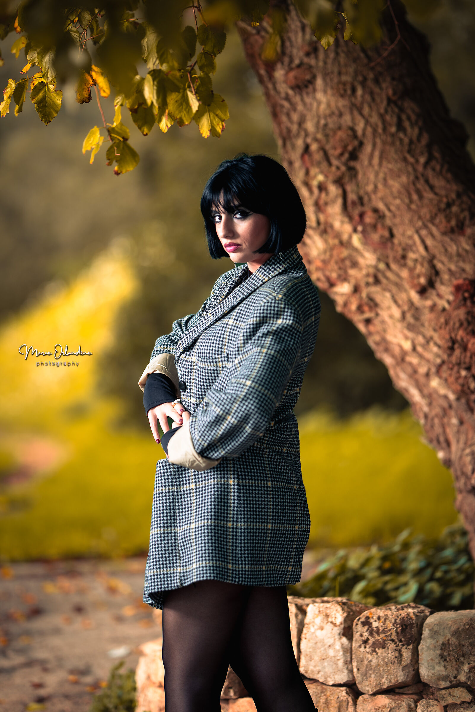 Untitled Photo