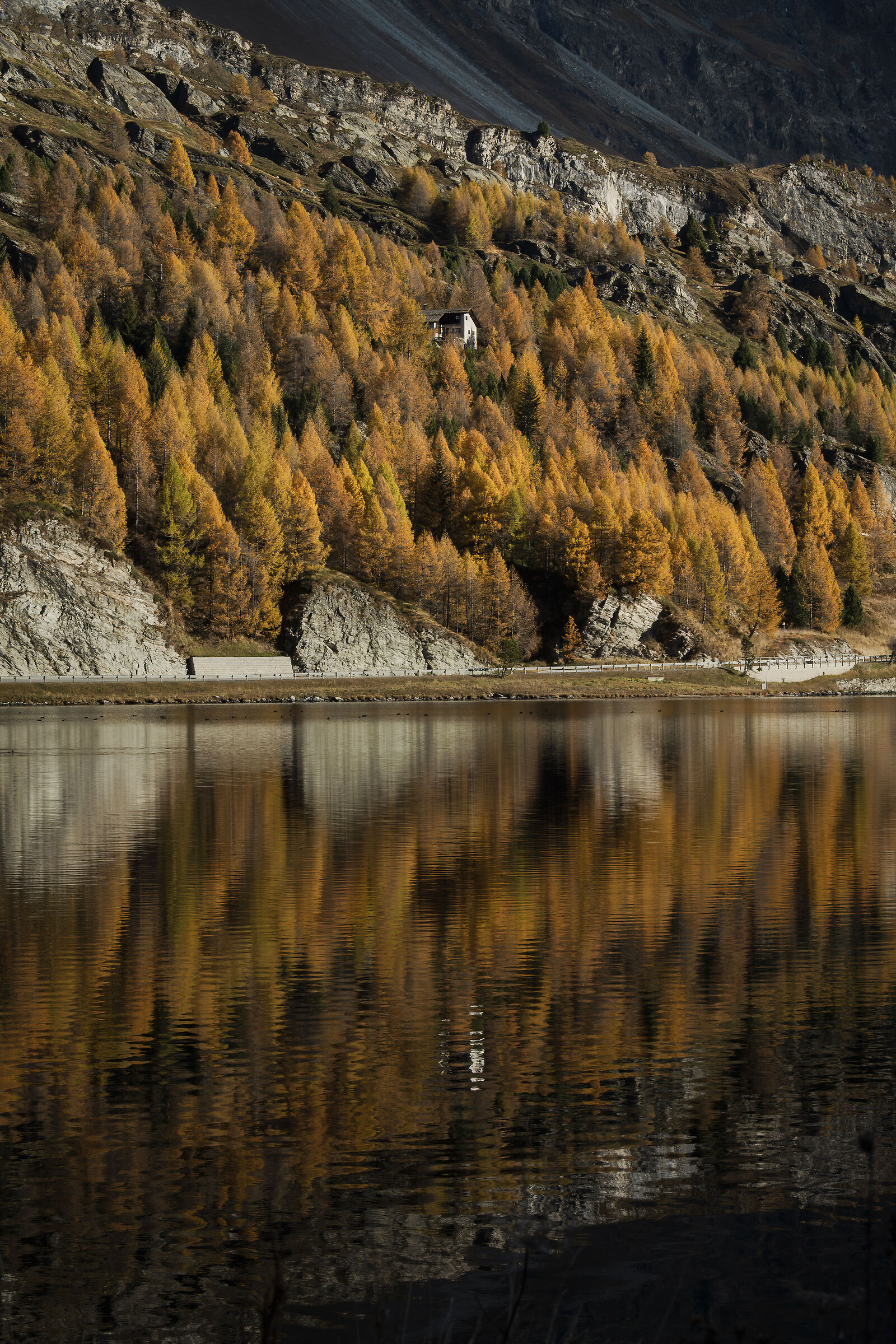 To the Boschett, Lake Sils CH