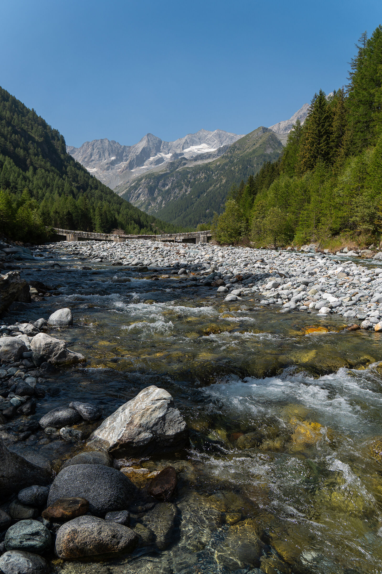Chiareggio, from the Mallero stream towards the Cima di Ross...