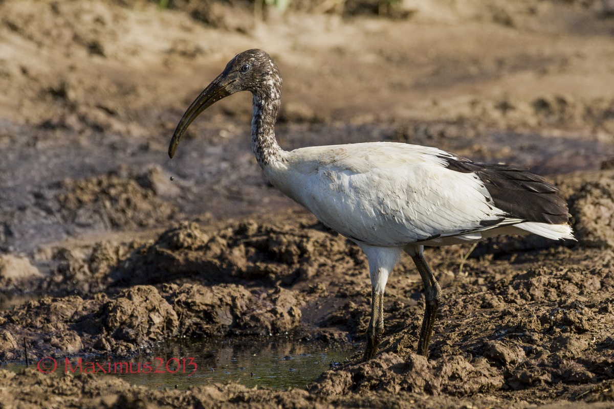 .. sacro vicino .. molto vicino ...