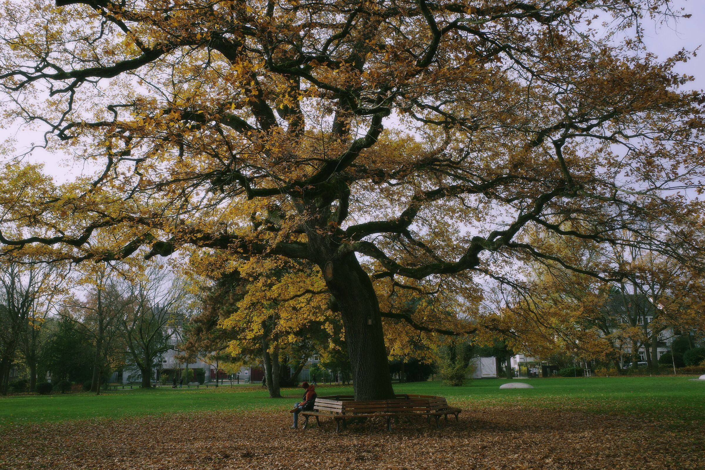 Adolph-von-Holzhausen-Park