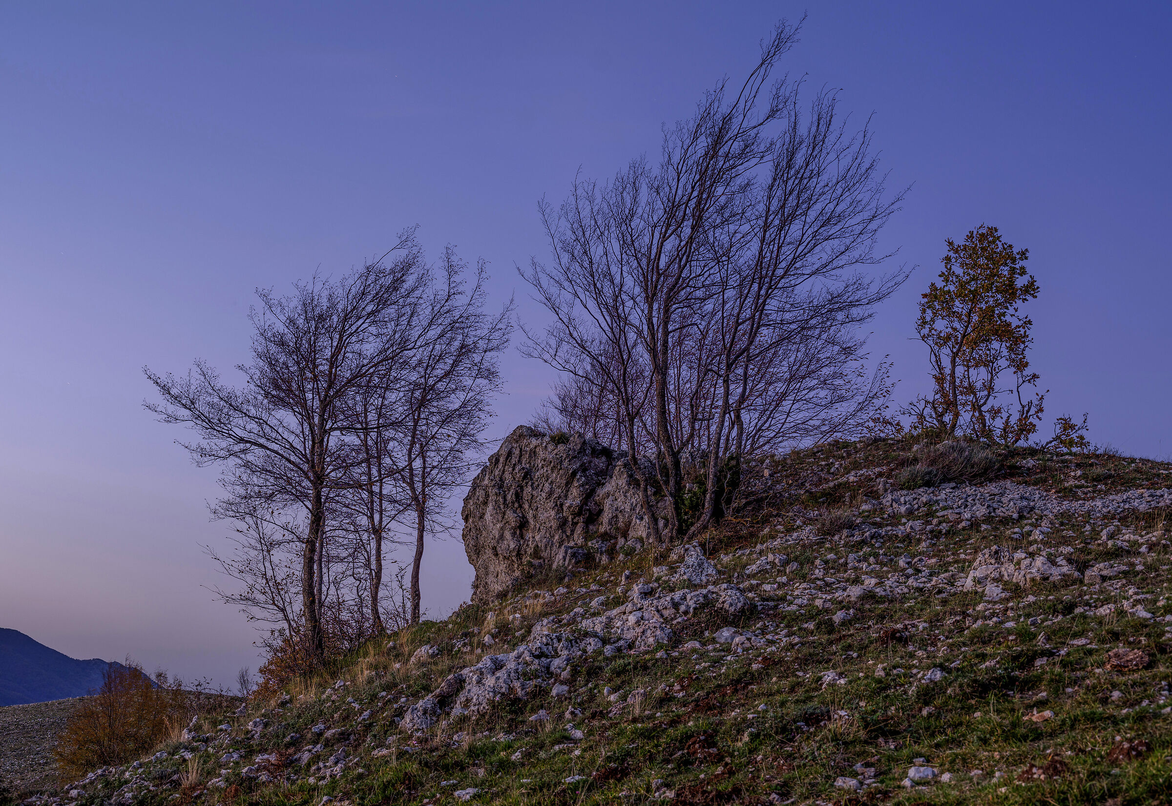 "Quel masso di roccia.. "
