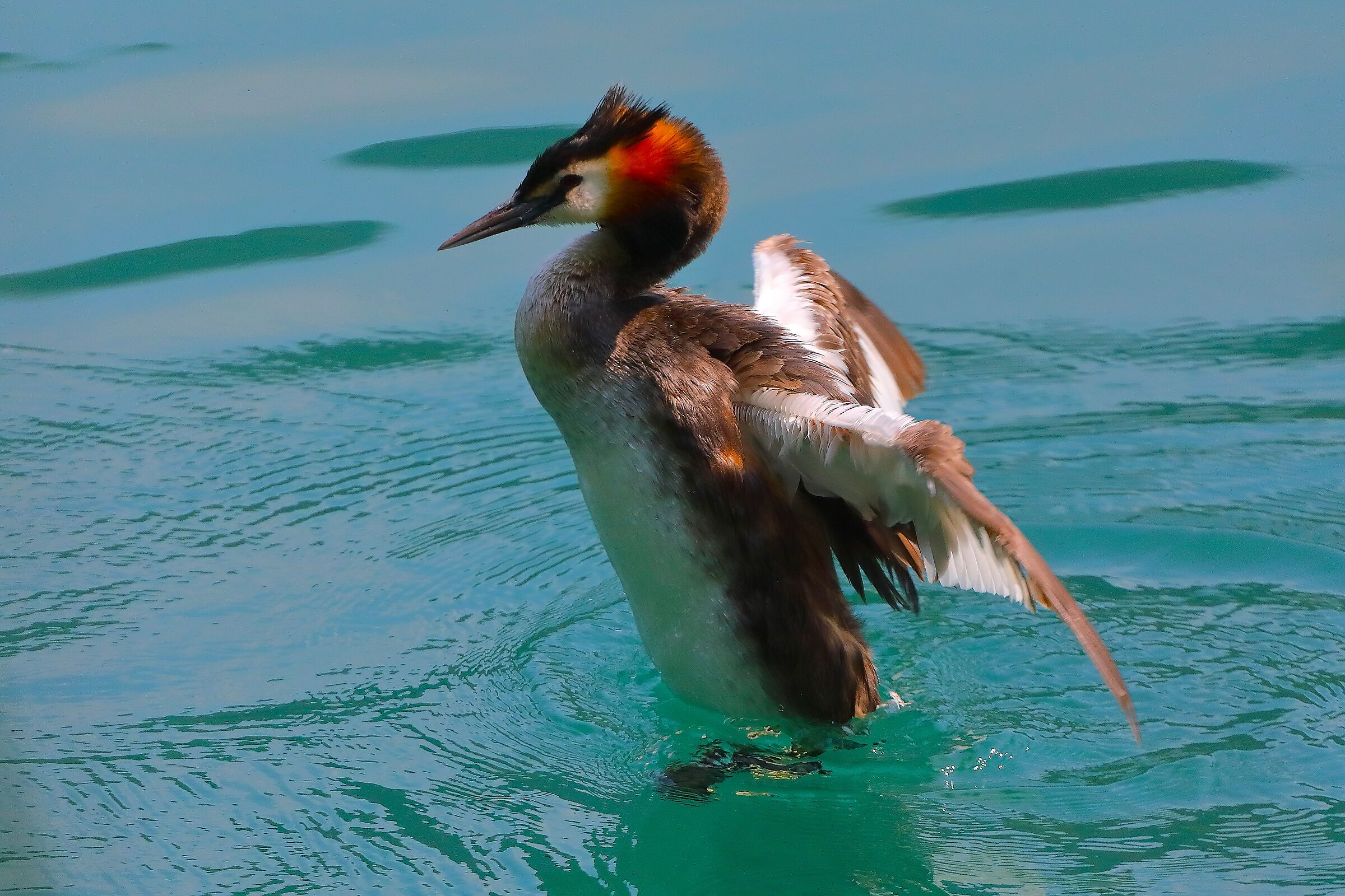 Svasso 20 giugno 2025 - 0047