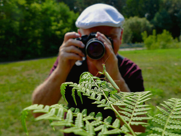 Foto