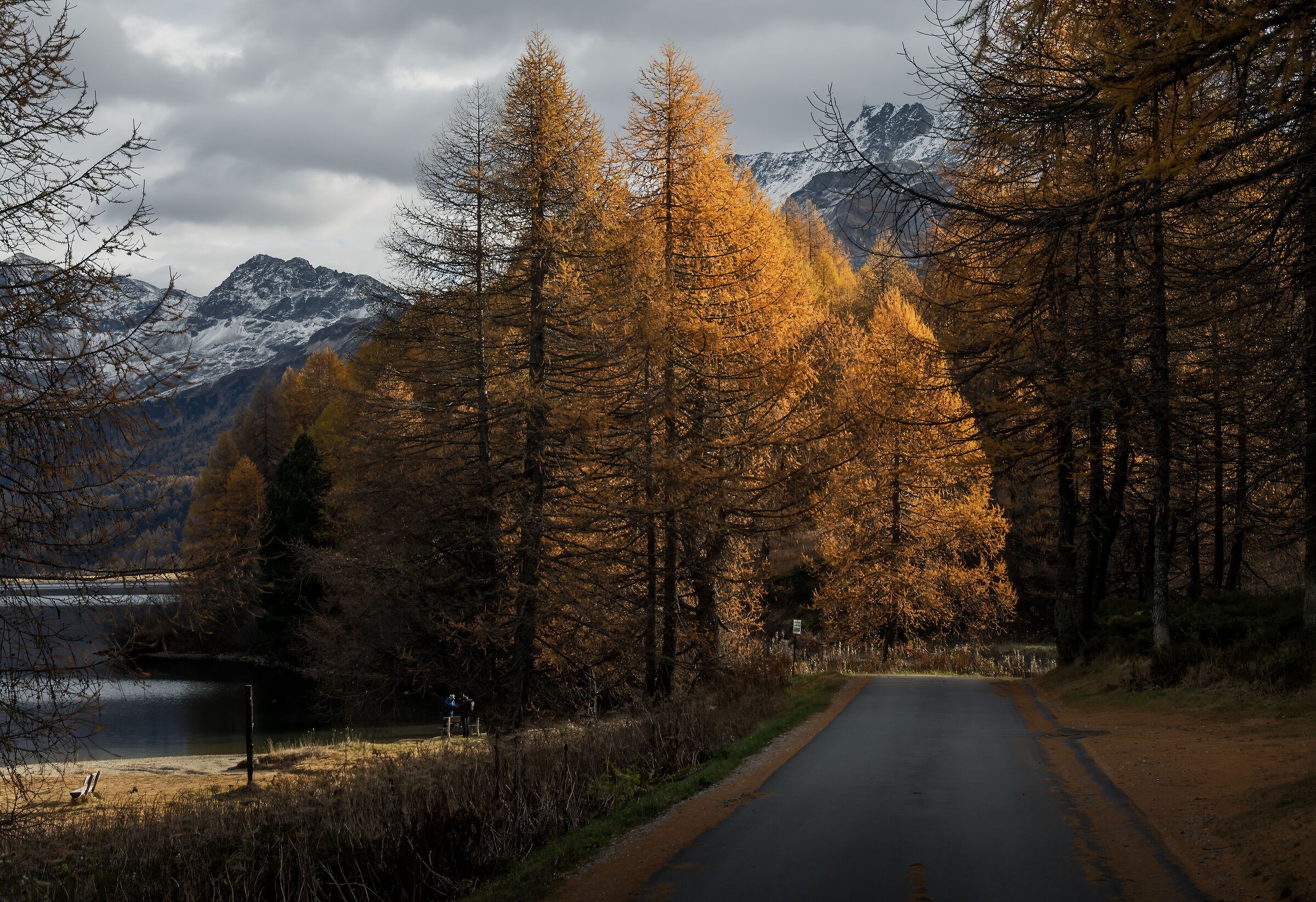 Segantini Trail, Lake Sils CH