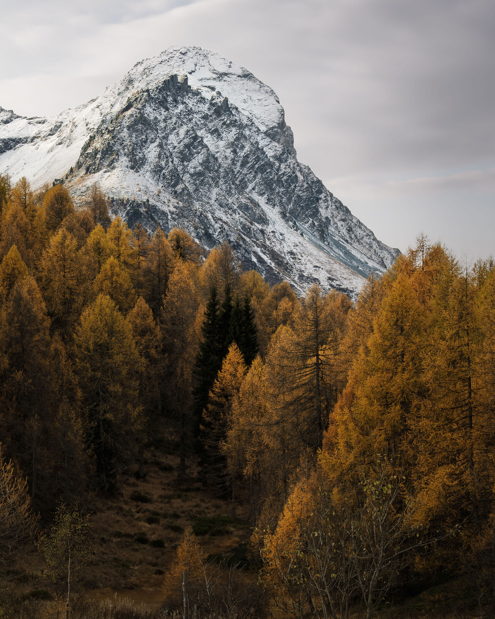 Piz Salacina, Maloja Pass CH