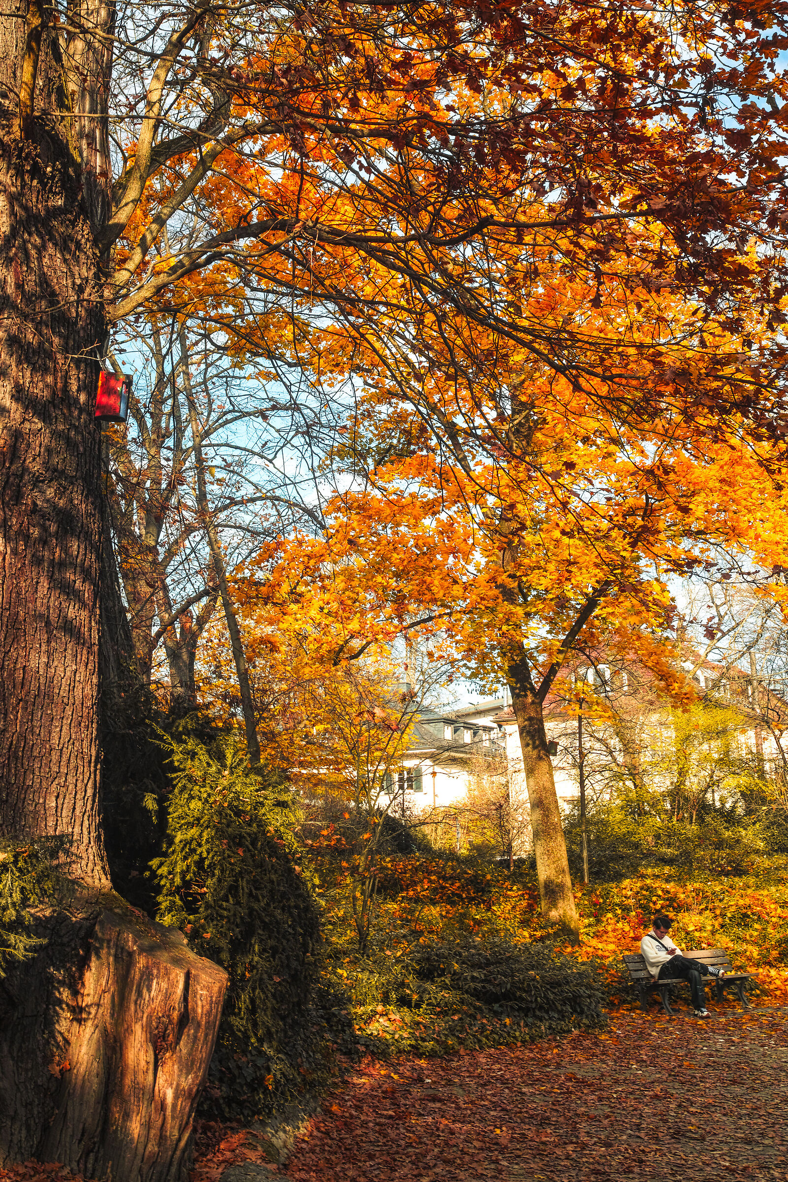 Altro passaggio autunnale