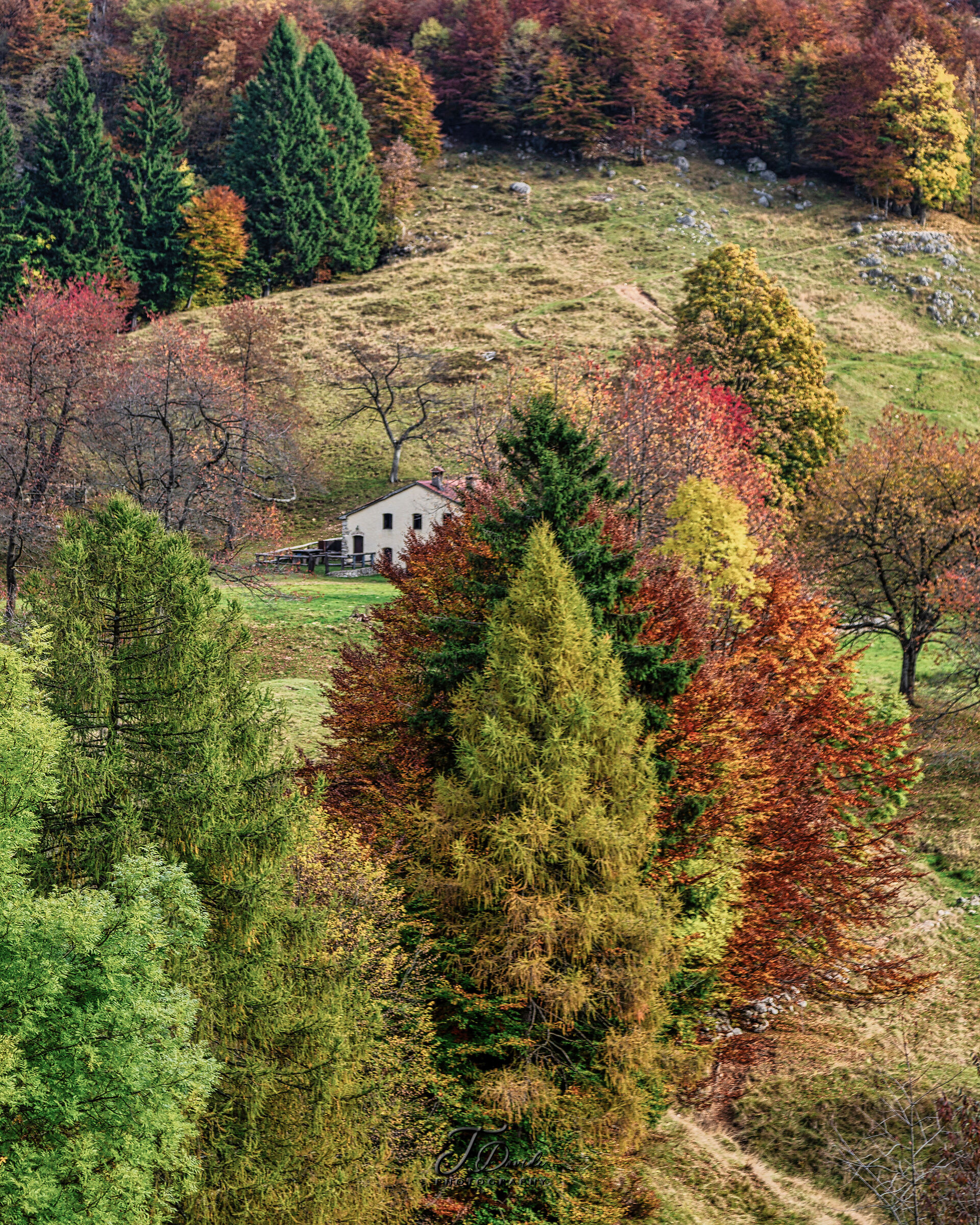 The Colors of Autumn