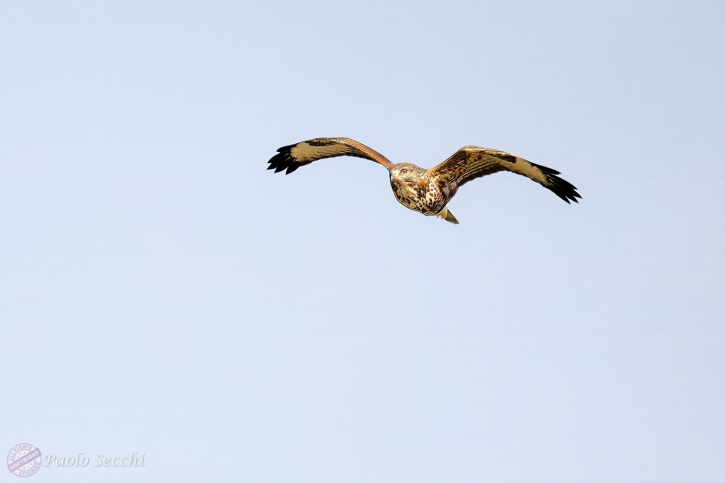 Aerial reconnaissance