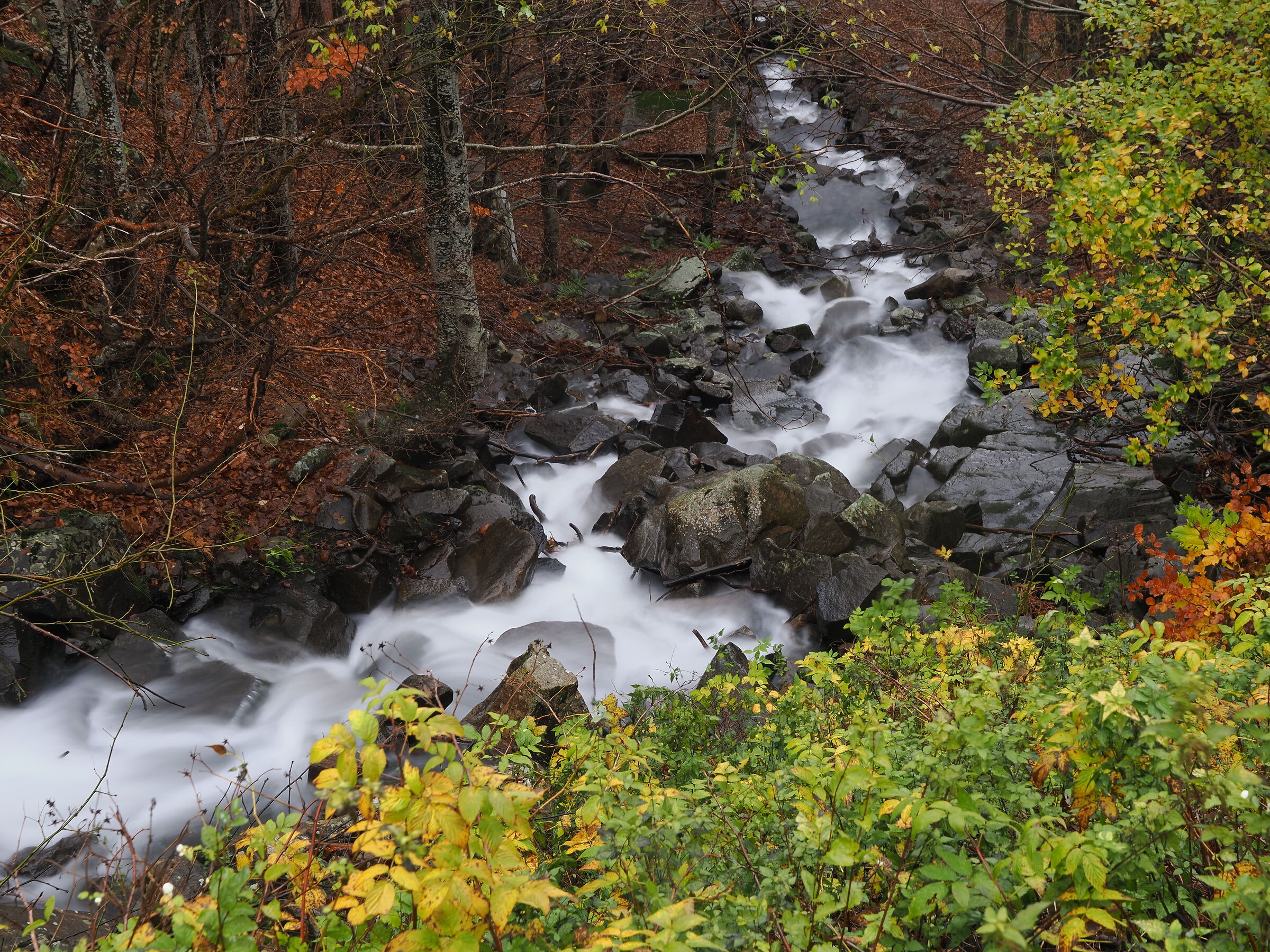 WaterFlow3