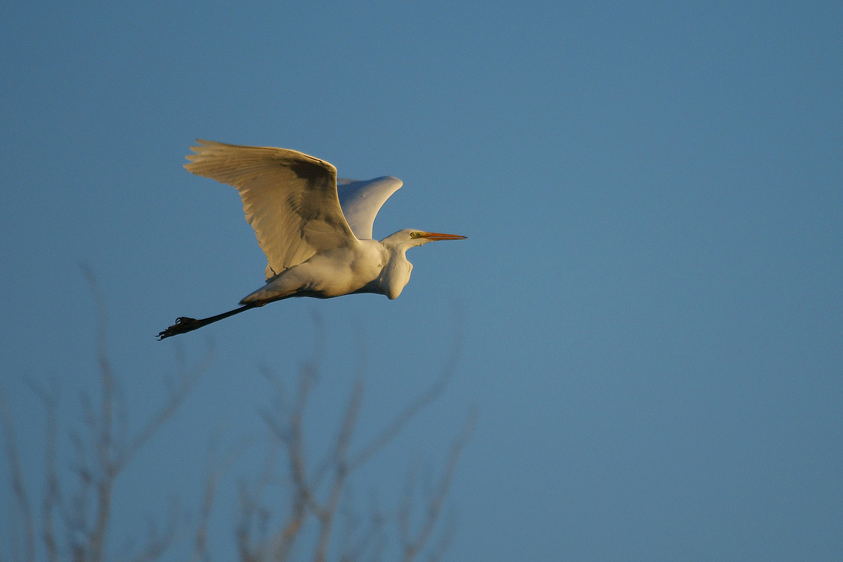 At the going down of the sun
