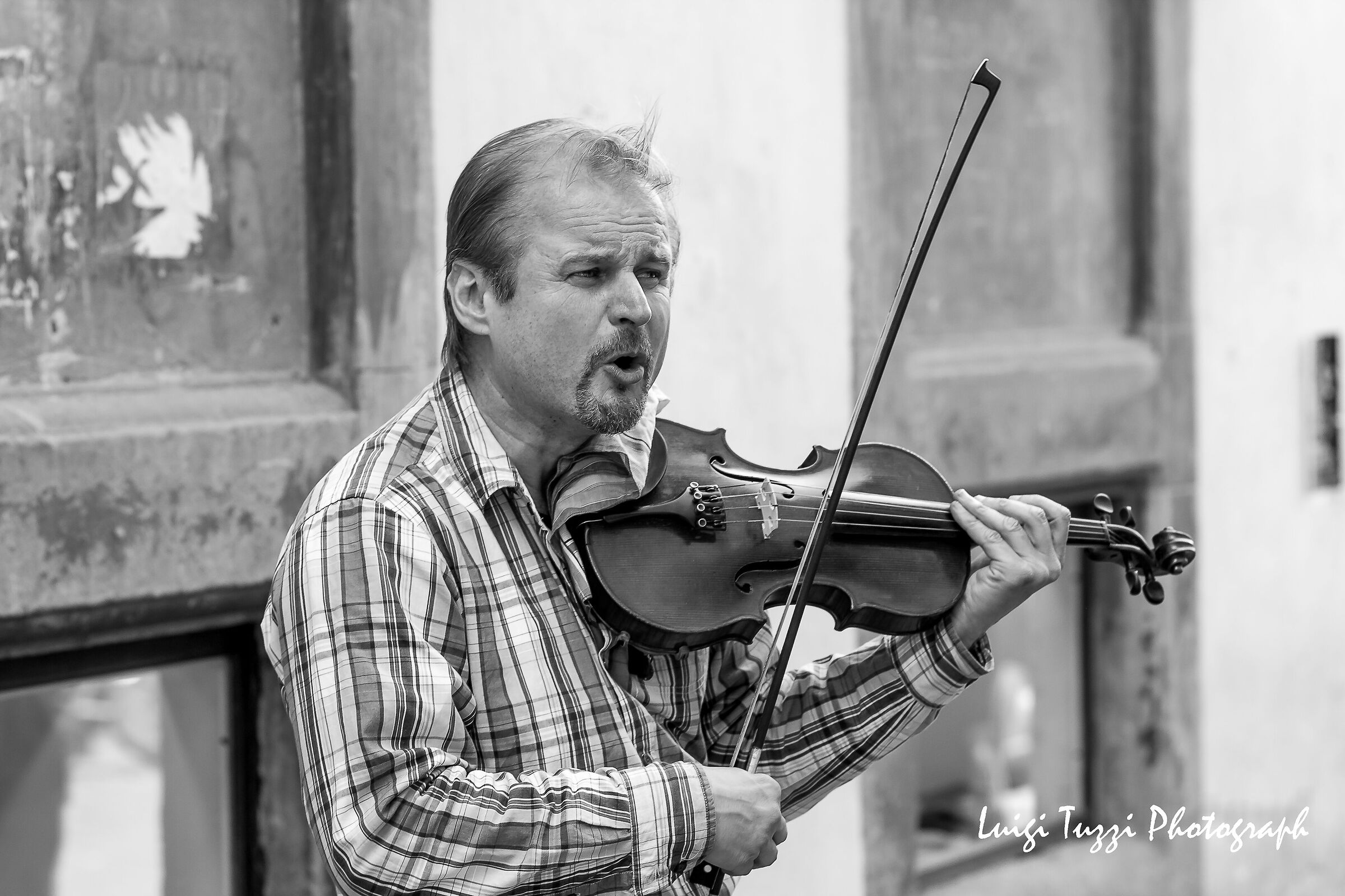 on the notes of the violin