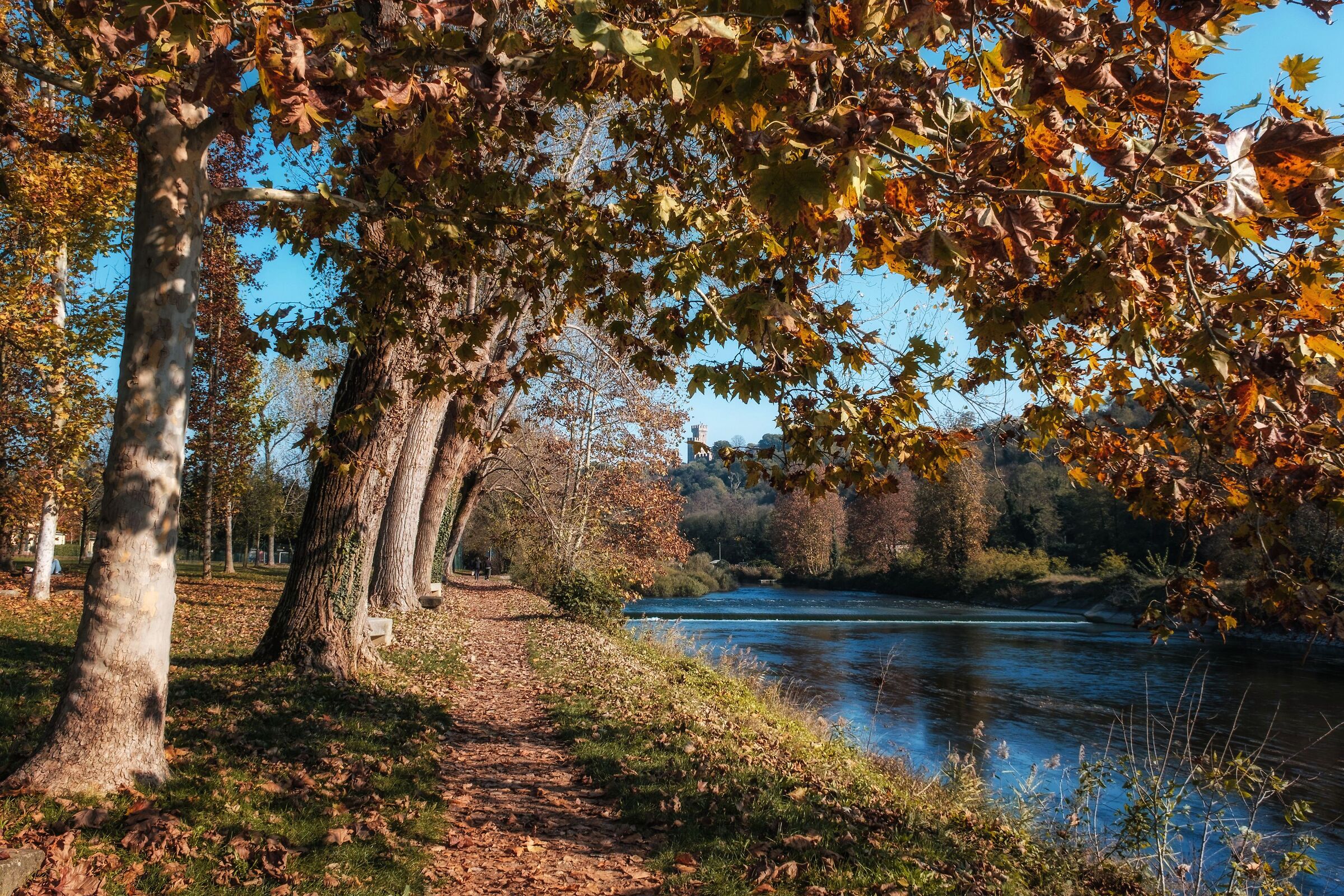 Un sentiero in autunno
