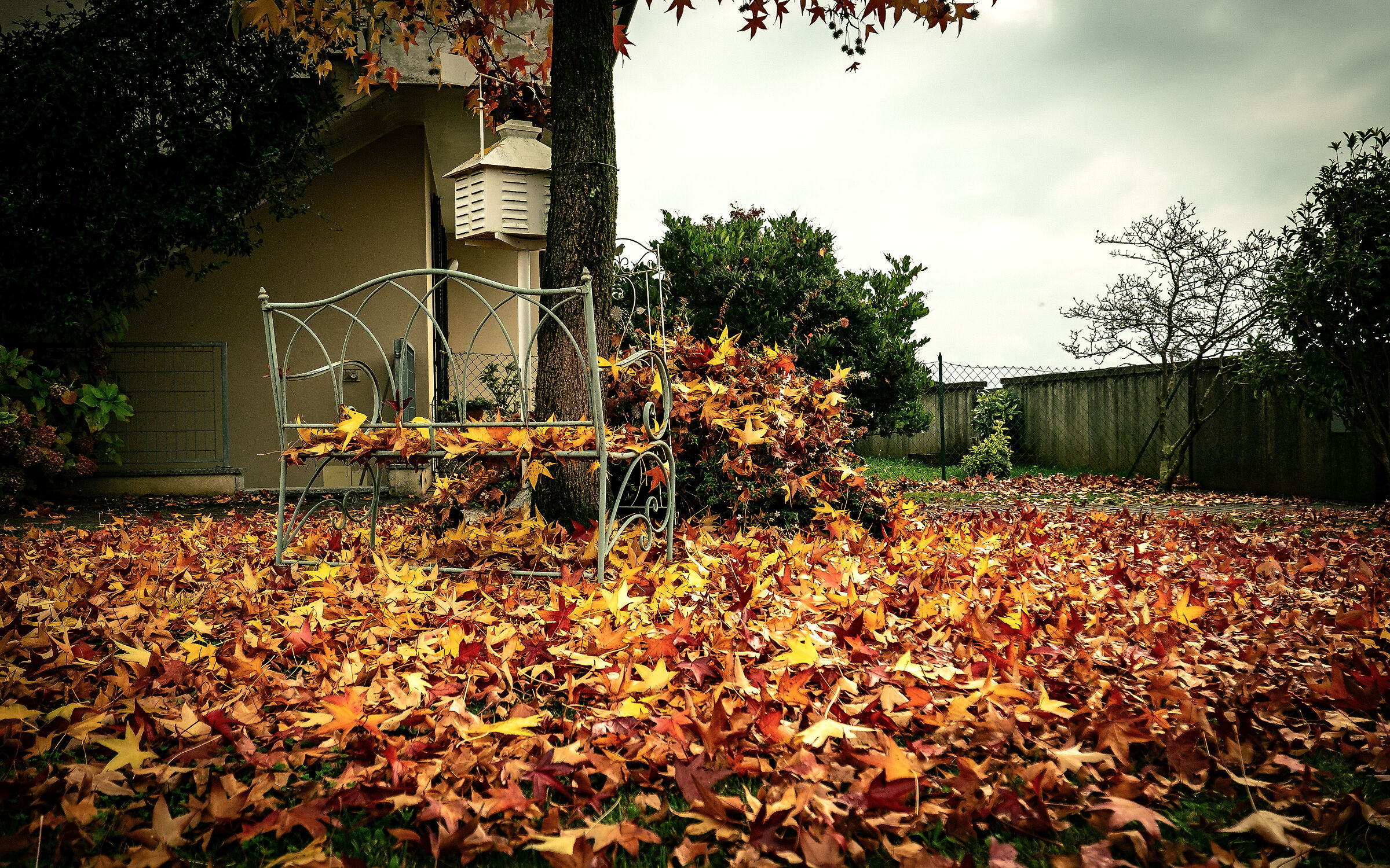 Sensazioni d'autunno II