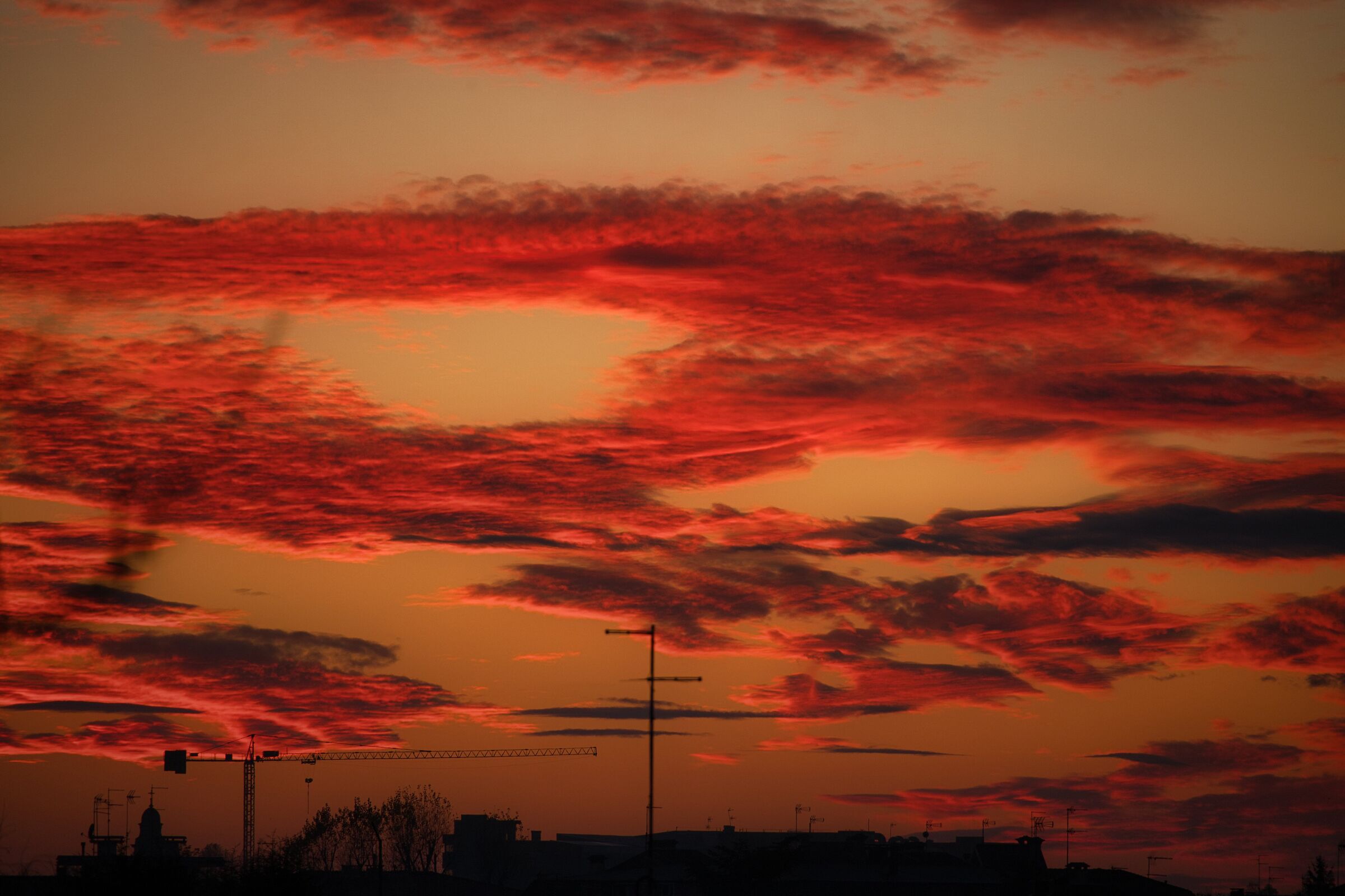 Untitled Photo