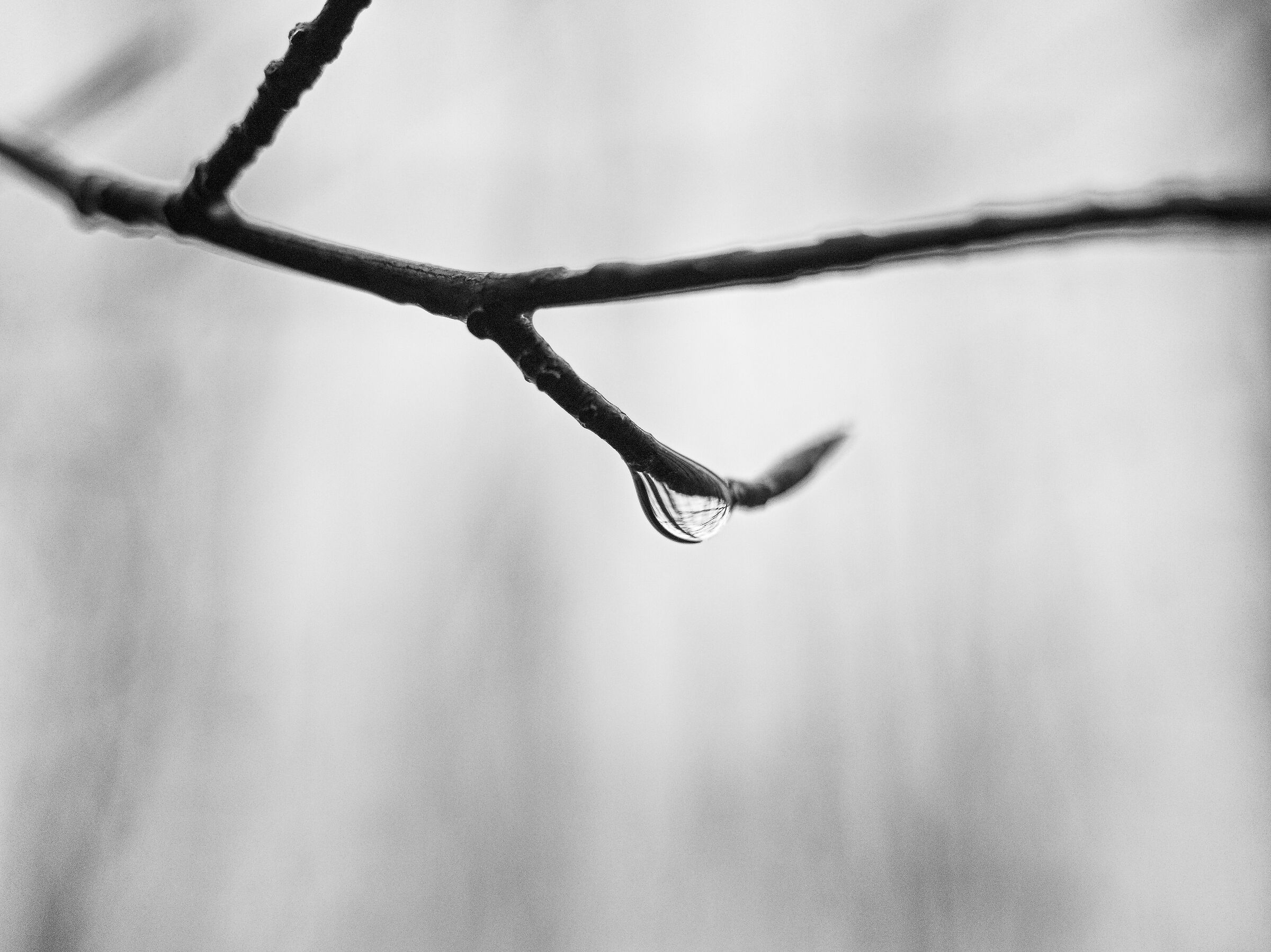 Drop